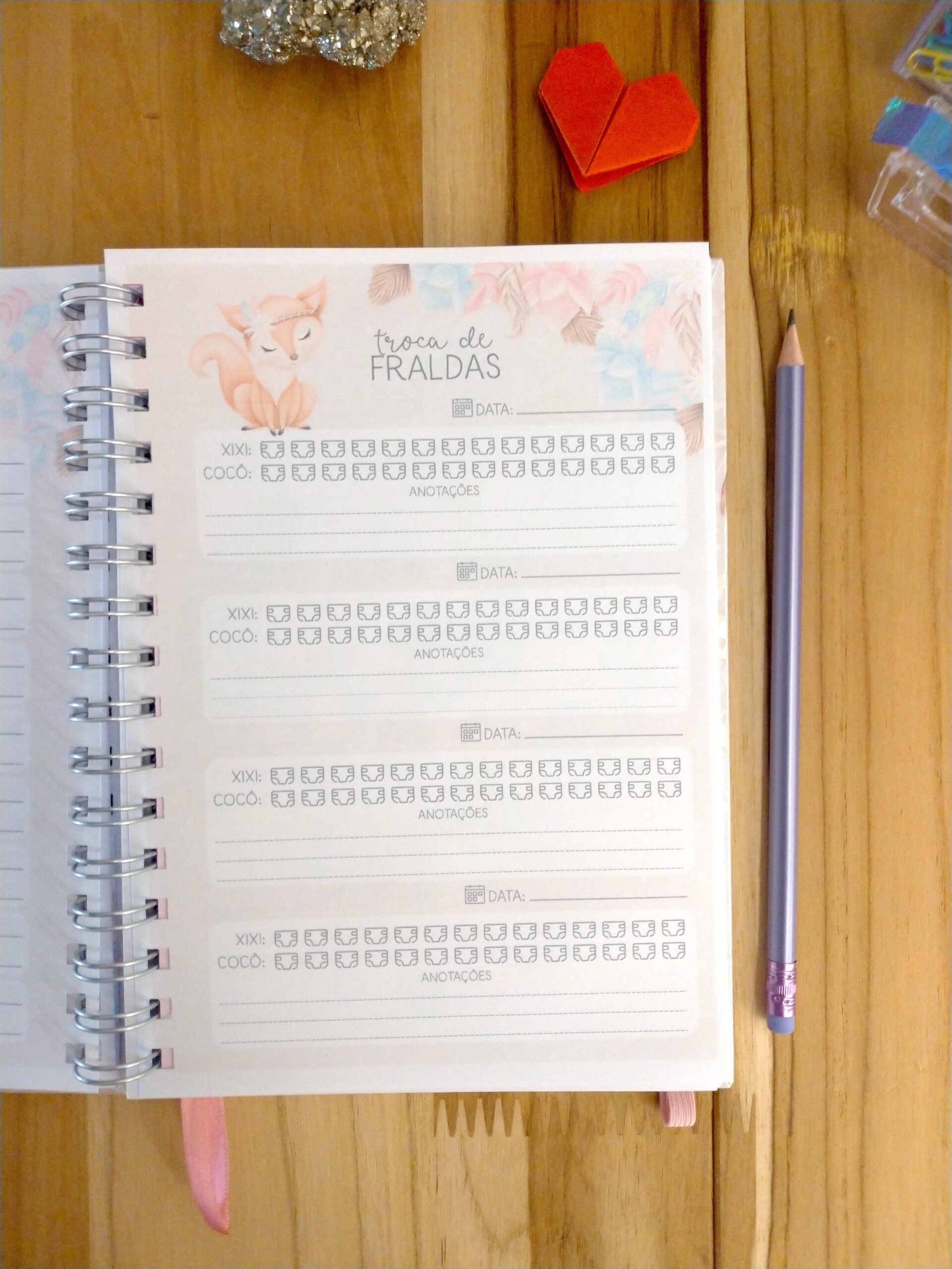 Kit minha menina - caderneta de saúde e livro do bebê personalizado - Imagem 6