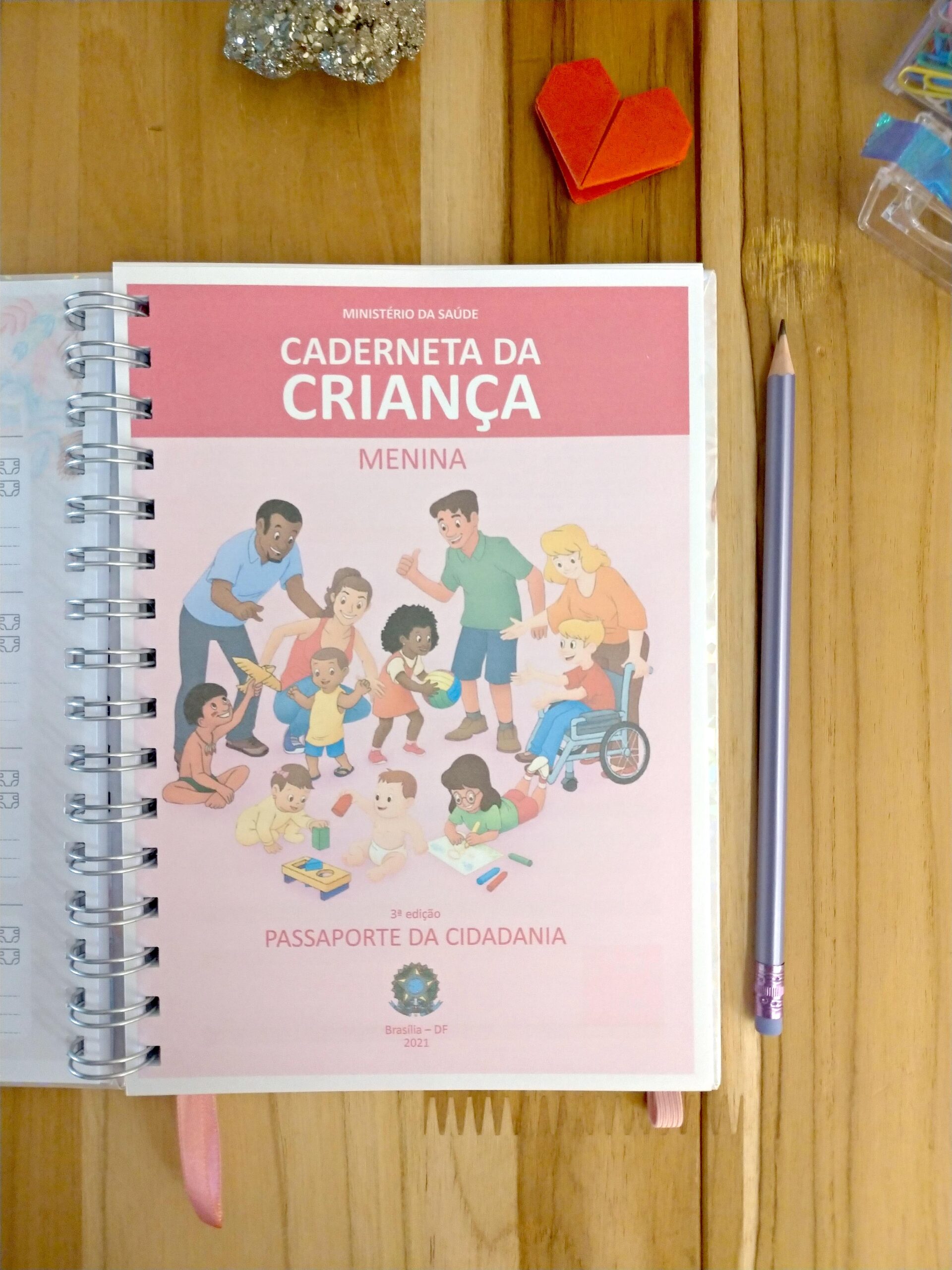 Kit minha menina - caderneta de saúde e livro do bebê personalizado - Imagem 7