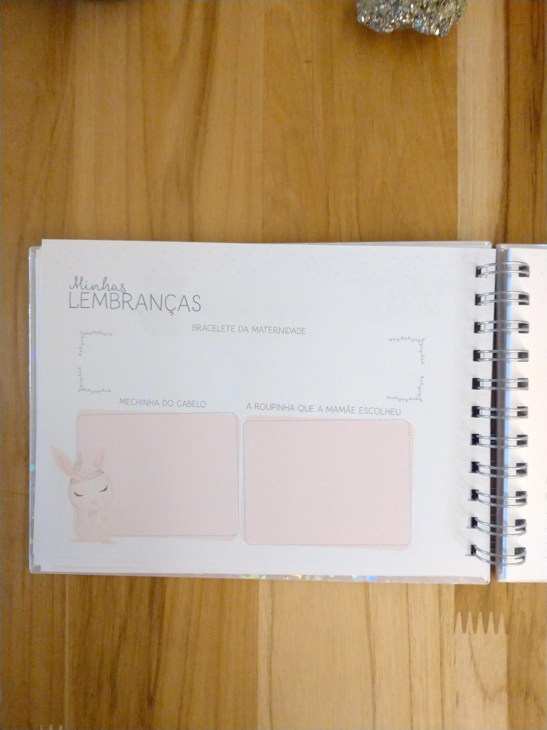 Kit minha menina - caderneta de saúde e livro do bebê personalizado - Imagem 14