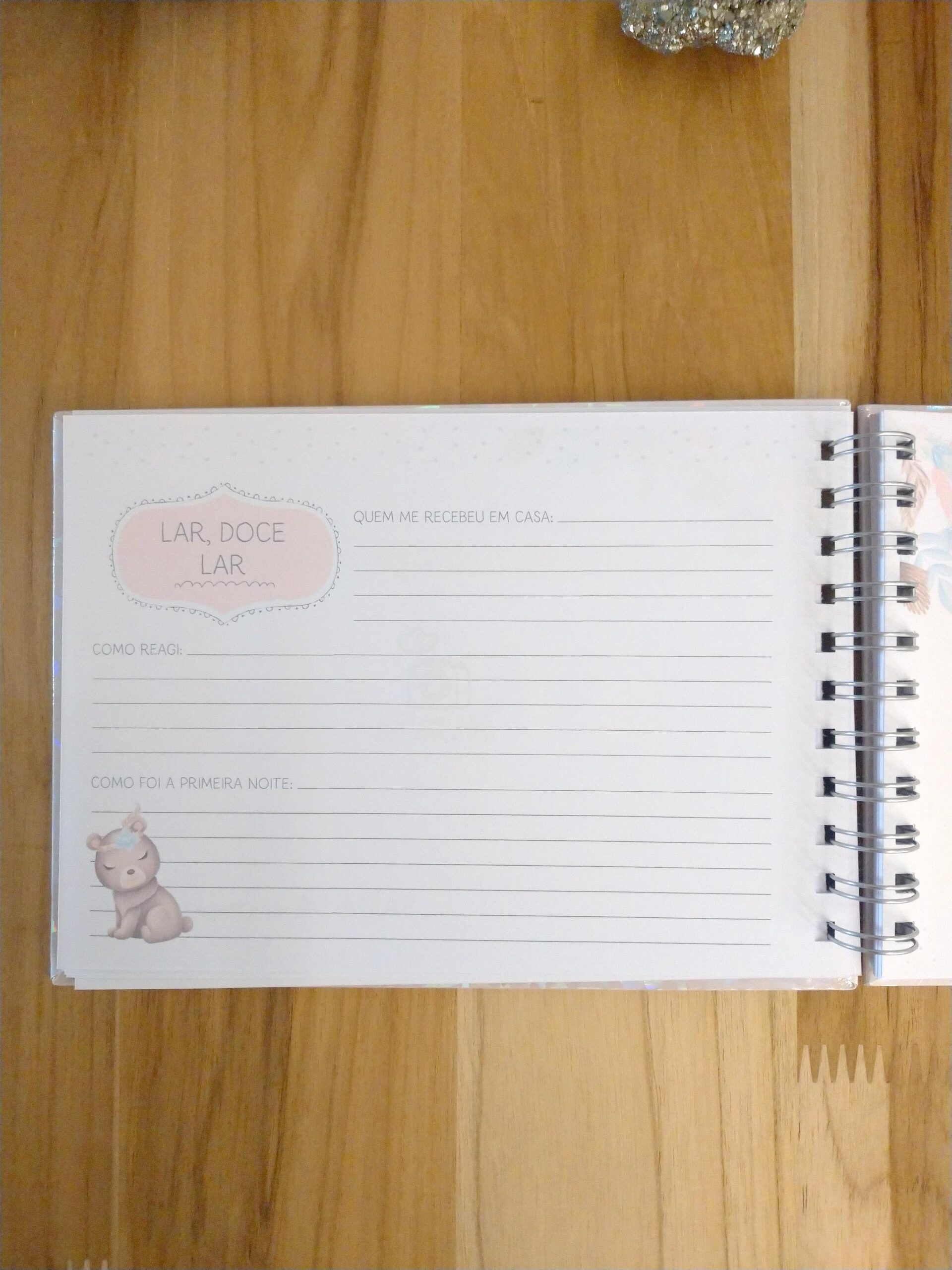 Kit minha menina - caderneta de saúde e livro do bebê personalizado - Imagem 11