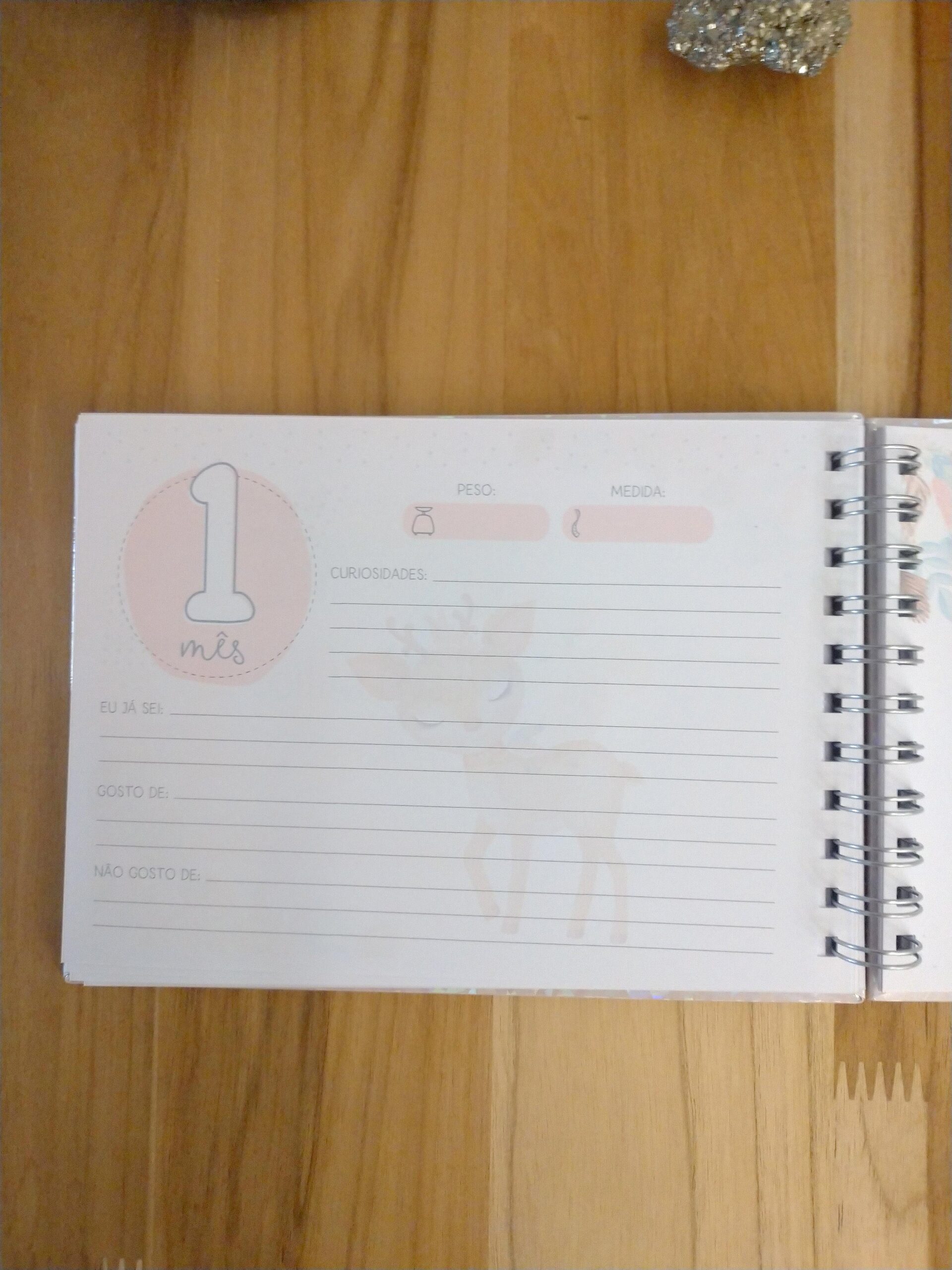 Kit minha menina - caderneta de saúde e livro do bebê personalizado - Imagem 16