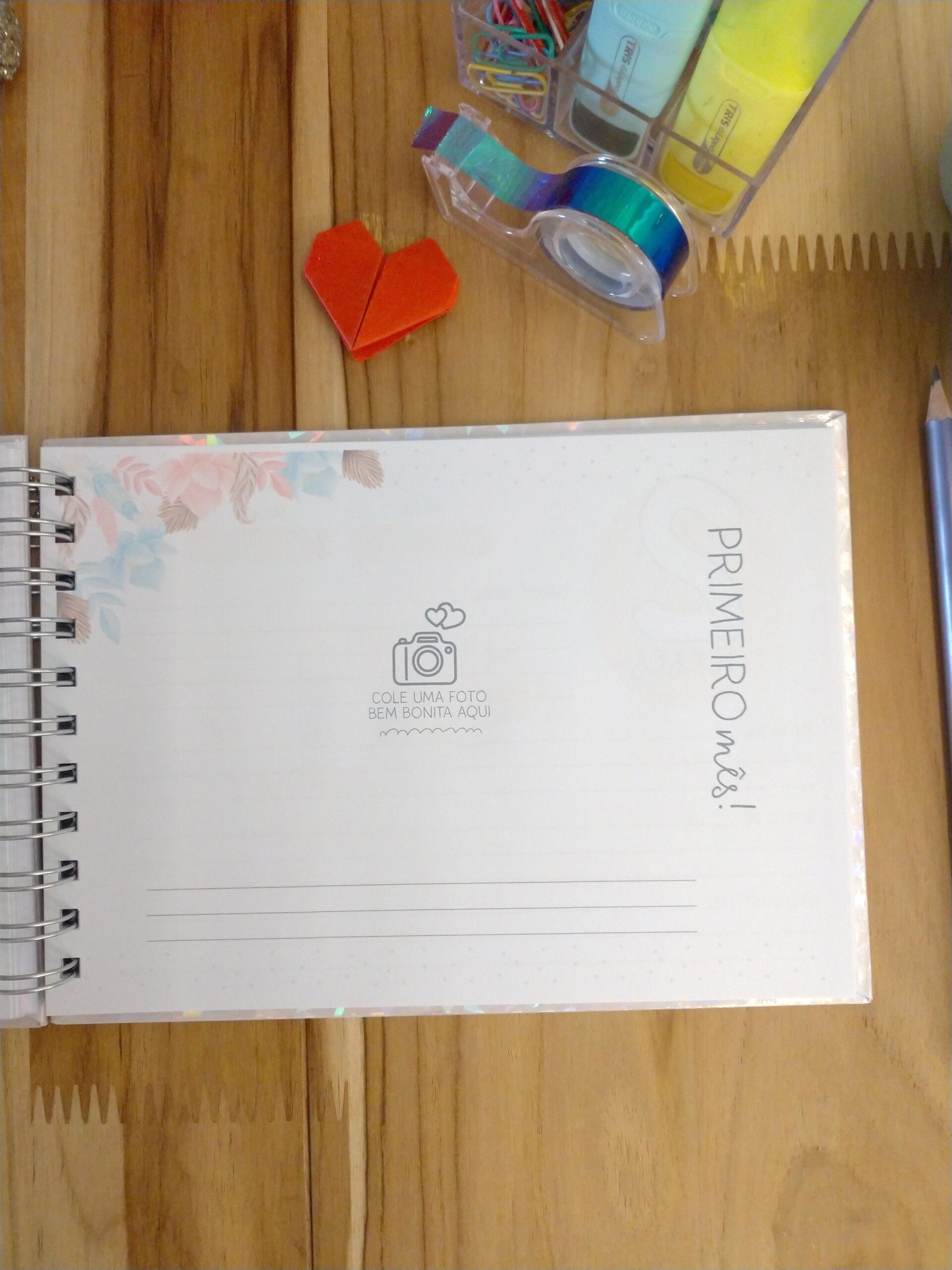 Kit minha menina - caderneta de saúde e livro do bebê personalizado - Imagem 17