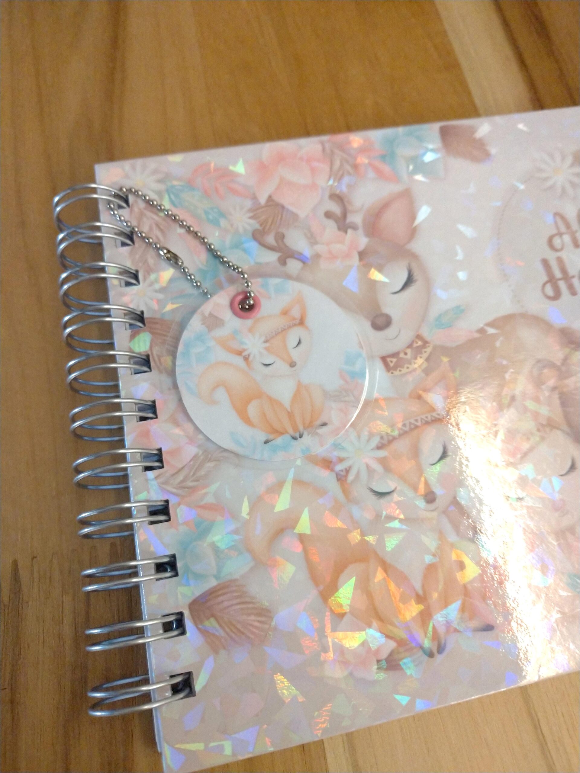 Kit minha menina - caderneta de saúde e livro do bebê personalizado - Imagem 9