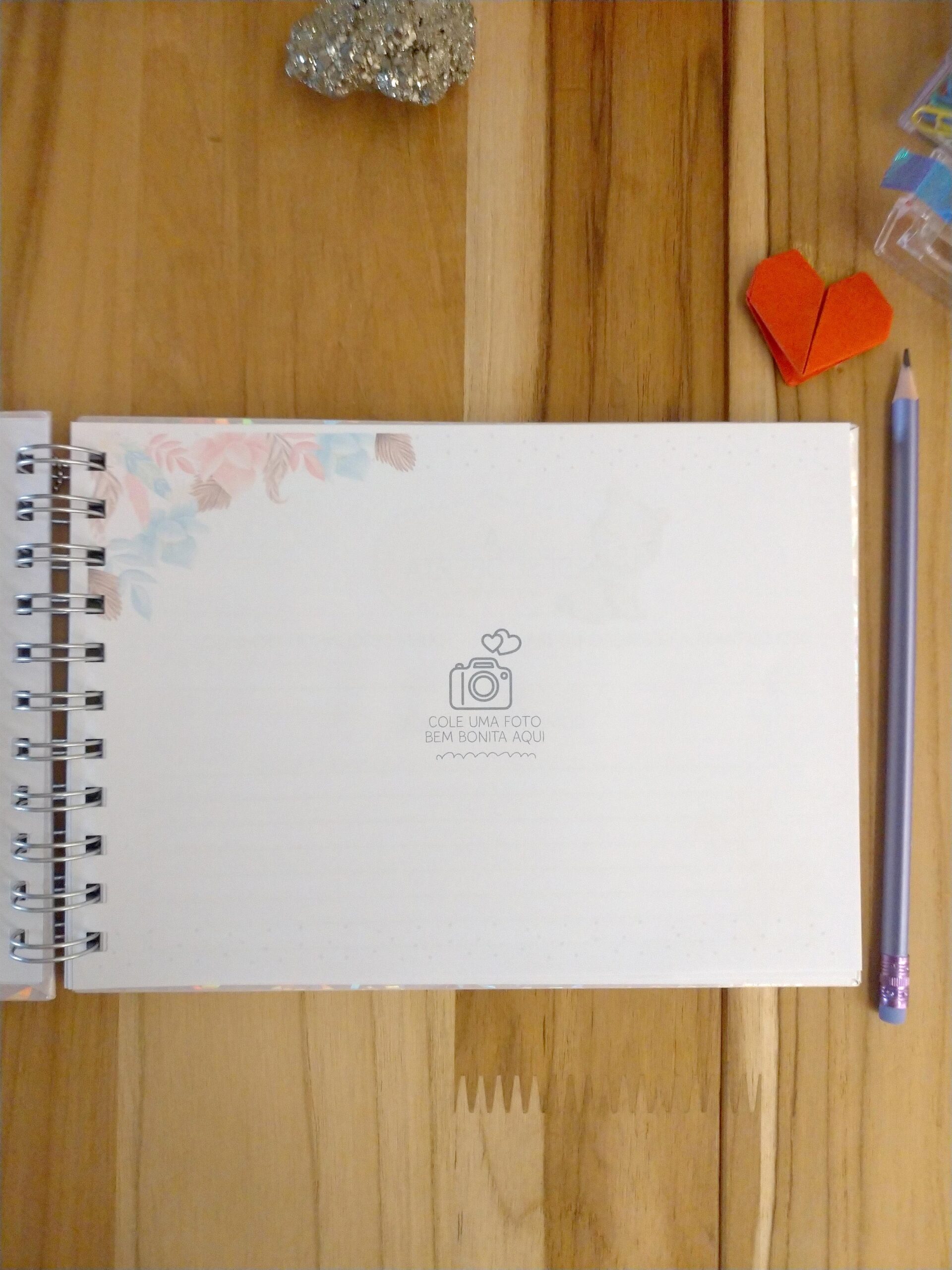 Kit minha menina - caderneta de saúde e livro do bebê personalizado - Imagem 12