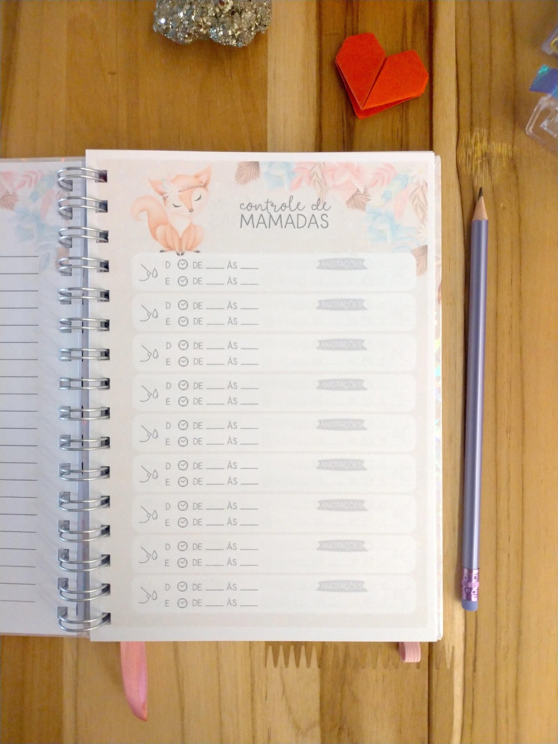 Kit minha menina - caderneta de saúde e livro do bebê personalizado - Imagem 5