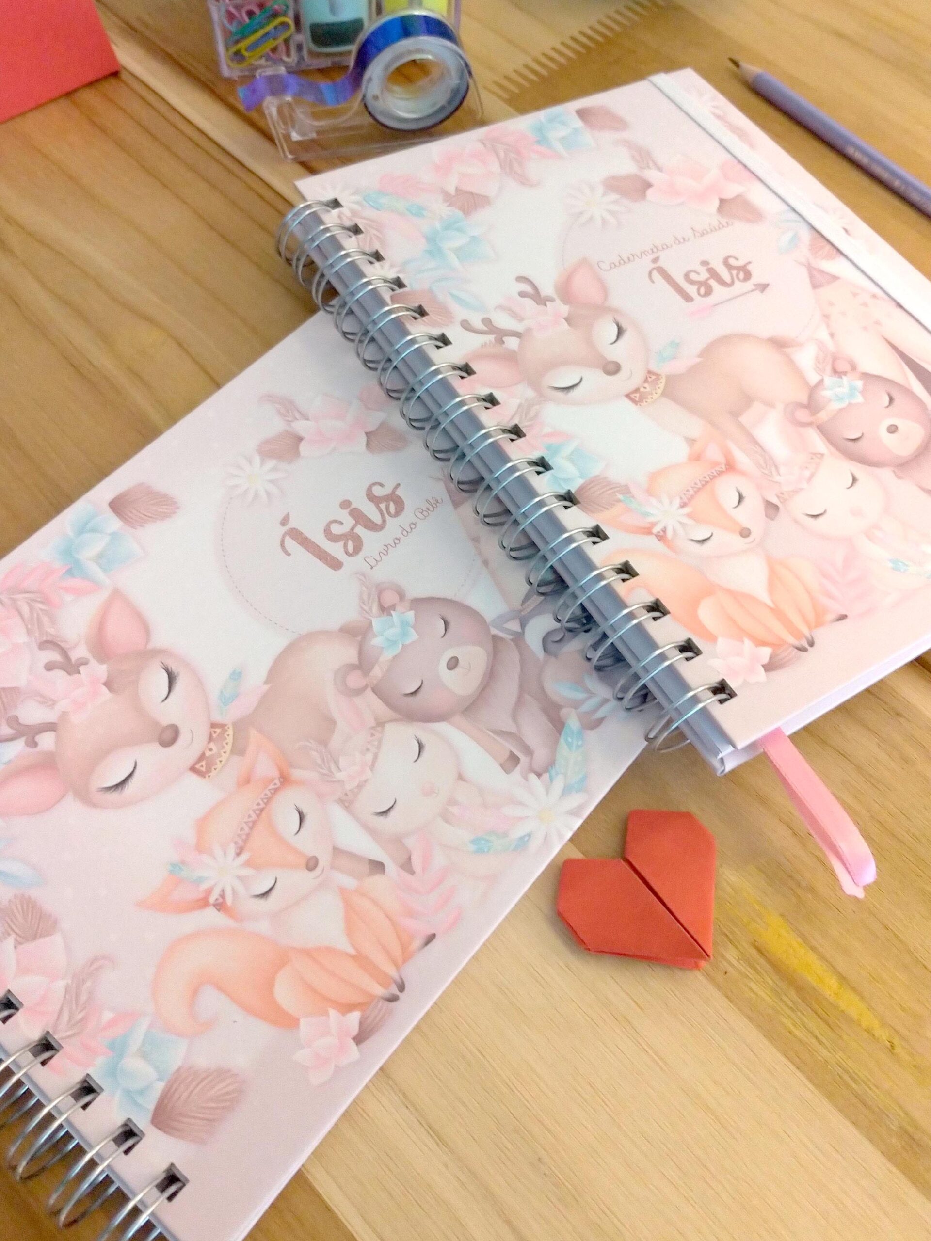 Kit minha menina - caderneta de saúde e livro do bebê personalizado - Imagem 2