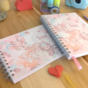 Kit minha menina - caderneta de saúde e livro do bebê personalizado