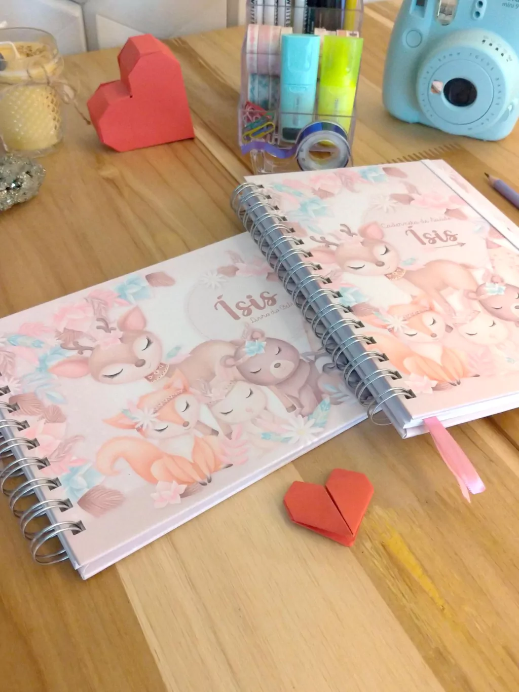 Kit minha menina - caderneta de saúde e livro do bebê personalizado