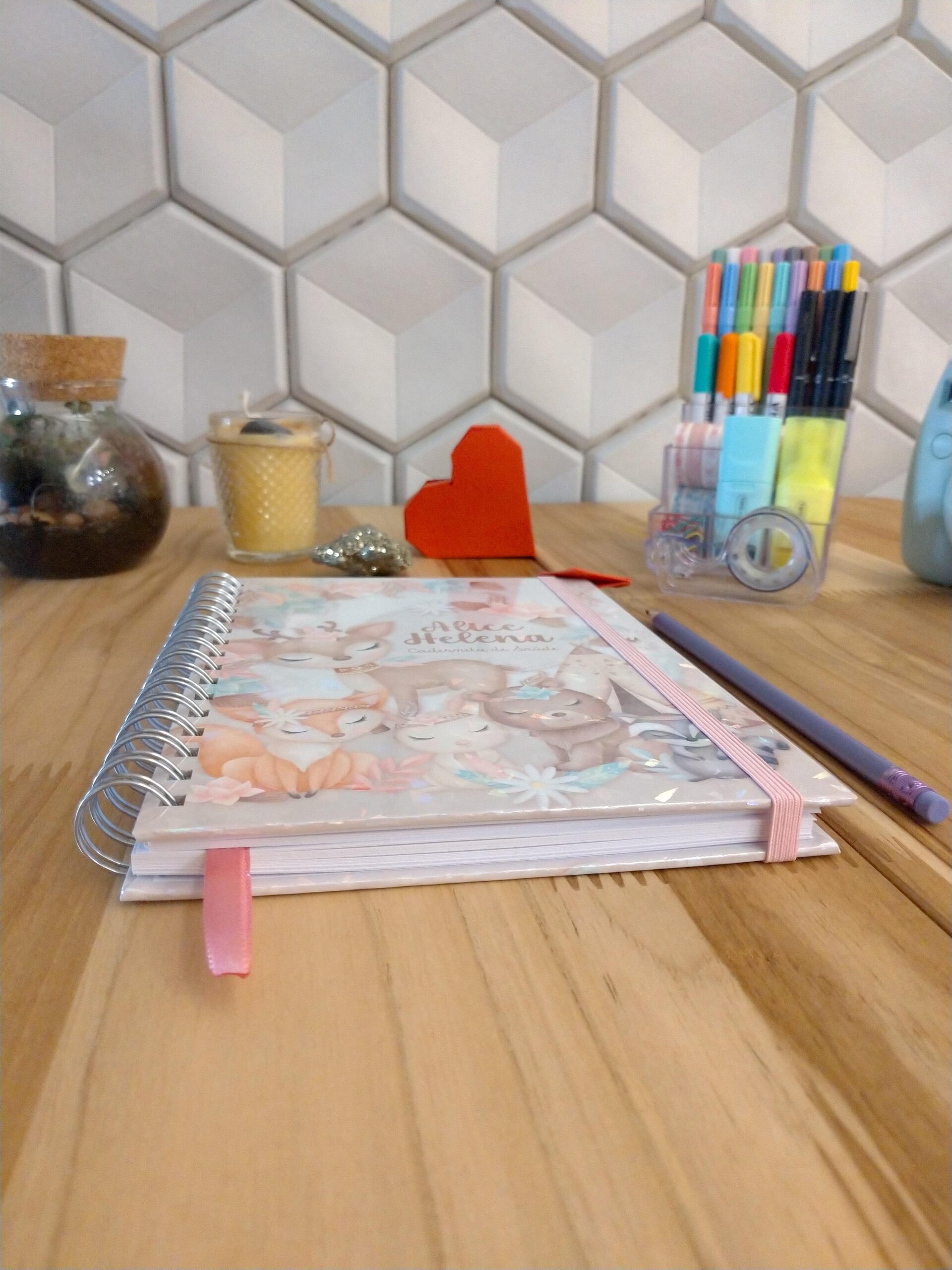 Caderneta de saúde do bebê - minha menina personalizado