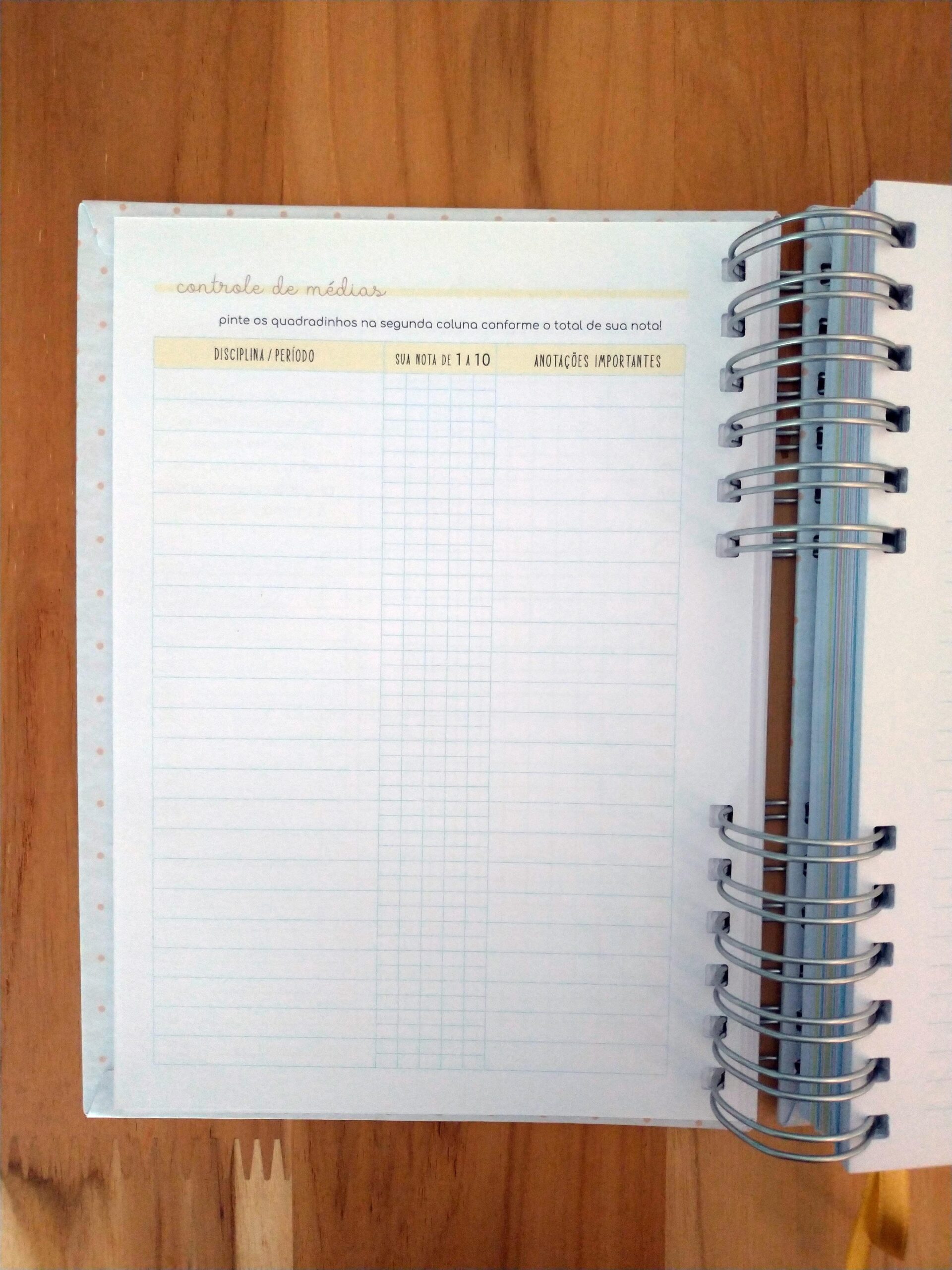 Pronta Entrega - Planner de estudos permanente - Imagem 7