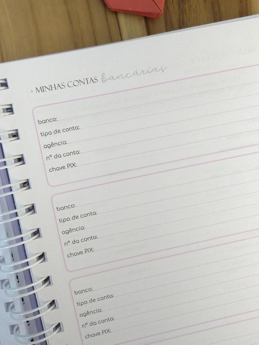 Planner financeiro permanente colorido ou neutro personalizado - Imagem 11