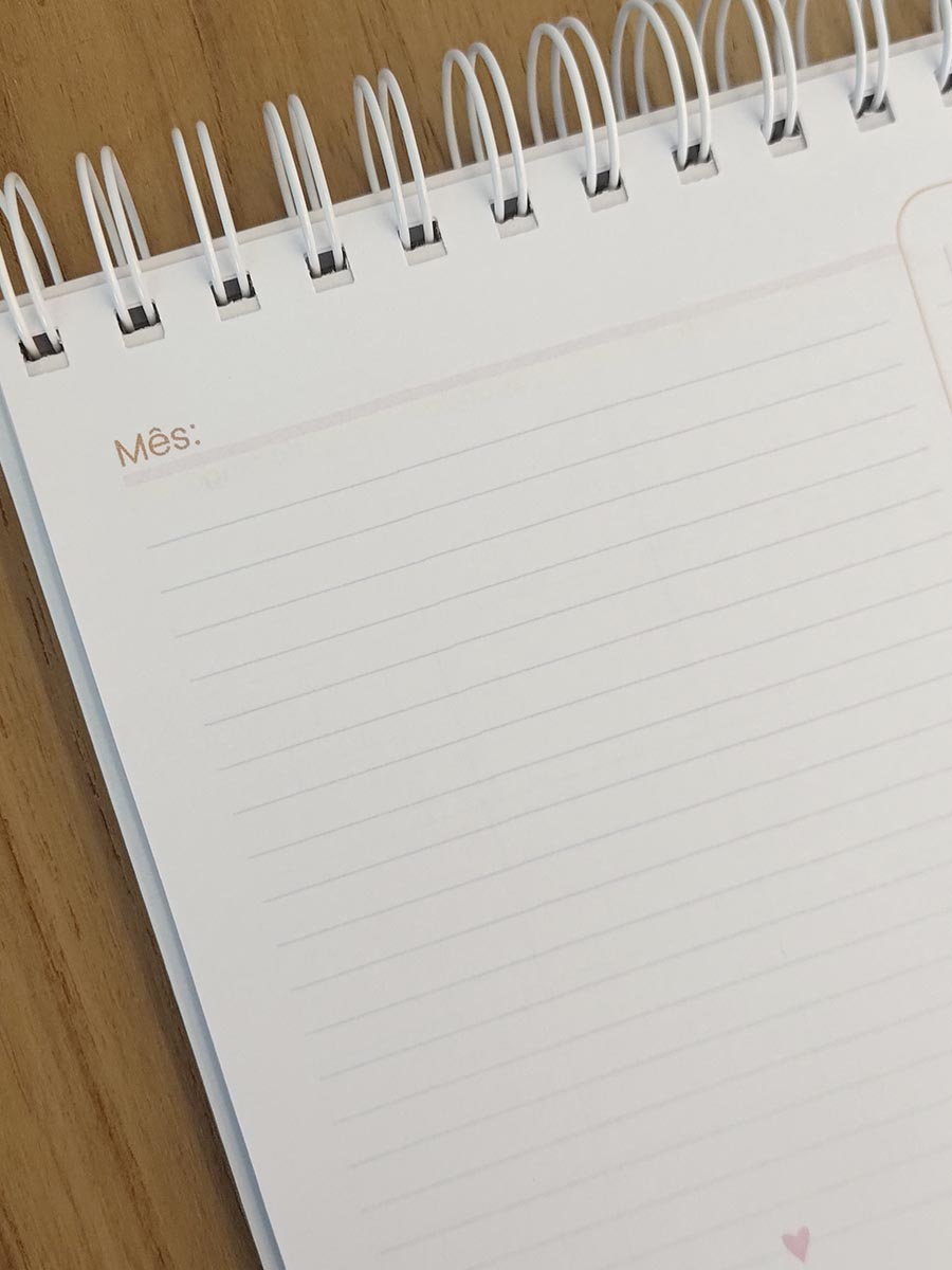 Duo planner - planejamento mensal e semanal personalizado - Imagem 10