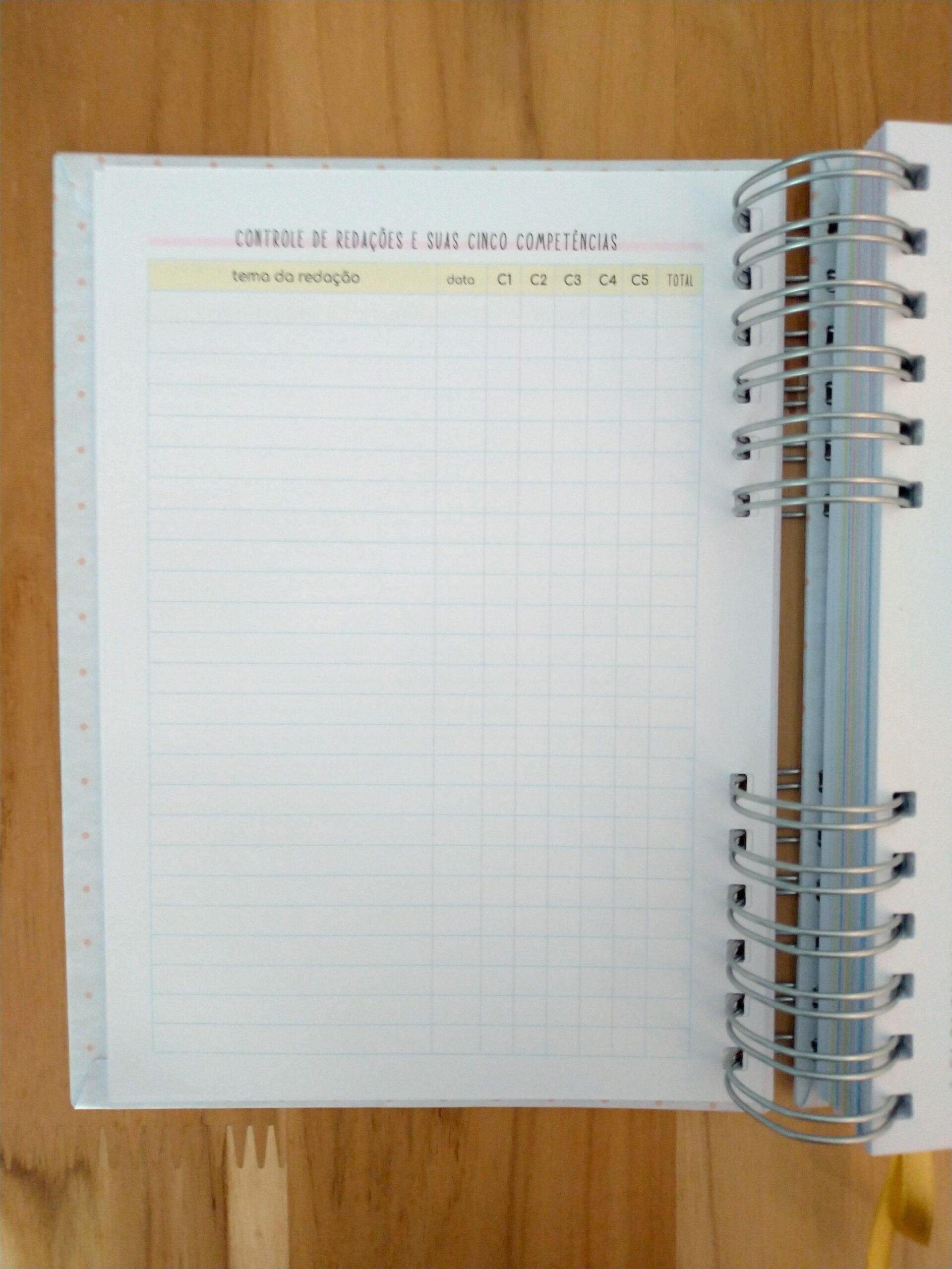 Pronta Entrega - Planner de estudos permanente - Imagem 9