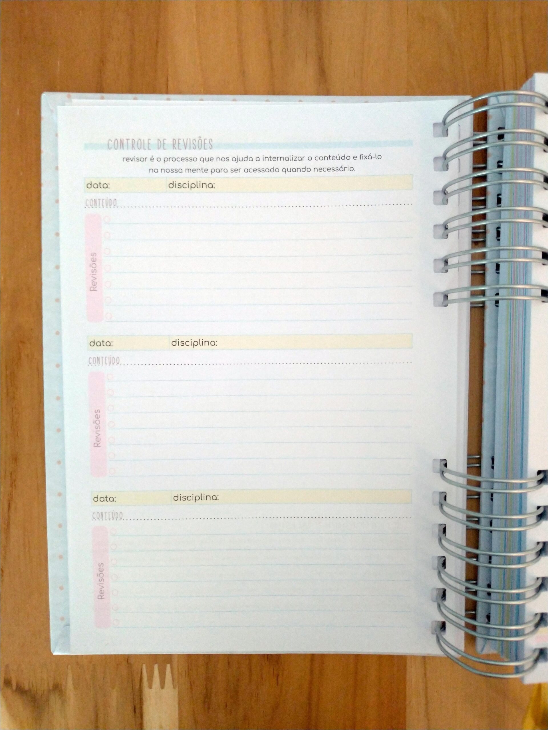 Pronta Entrega - Planner de estudos permanente - Imagem 10