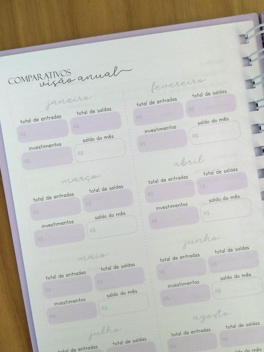 Planner financeiro permanente colorido ou neutro personalizado - Imagem 13