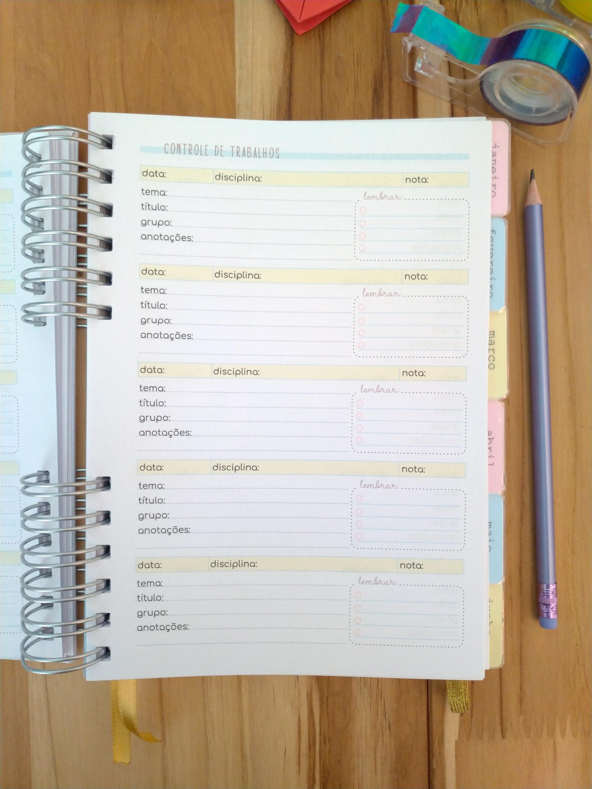 Pronta Entrega - Planner de estudos permanente - Imagem 11