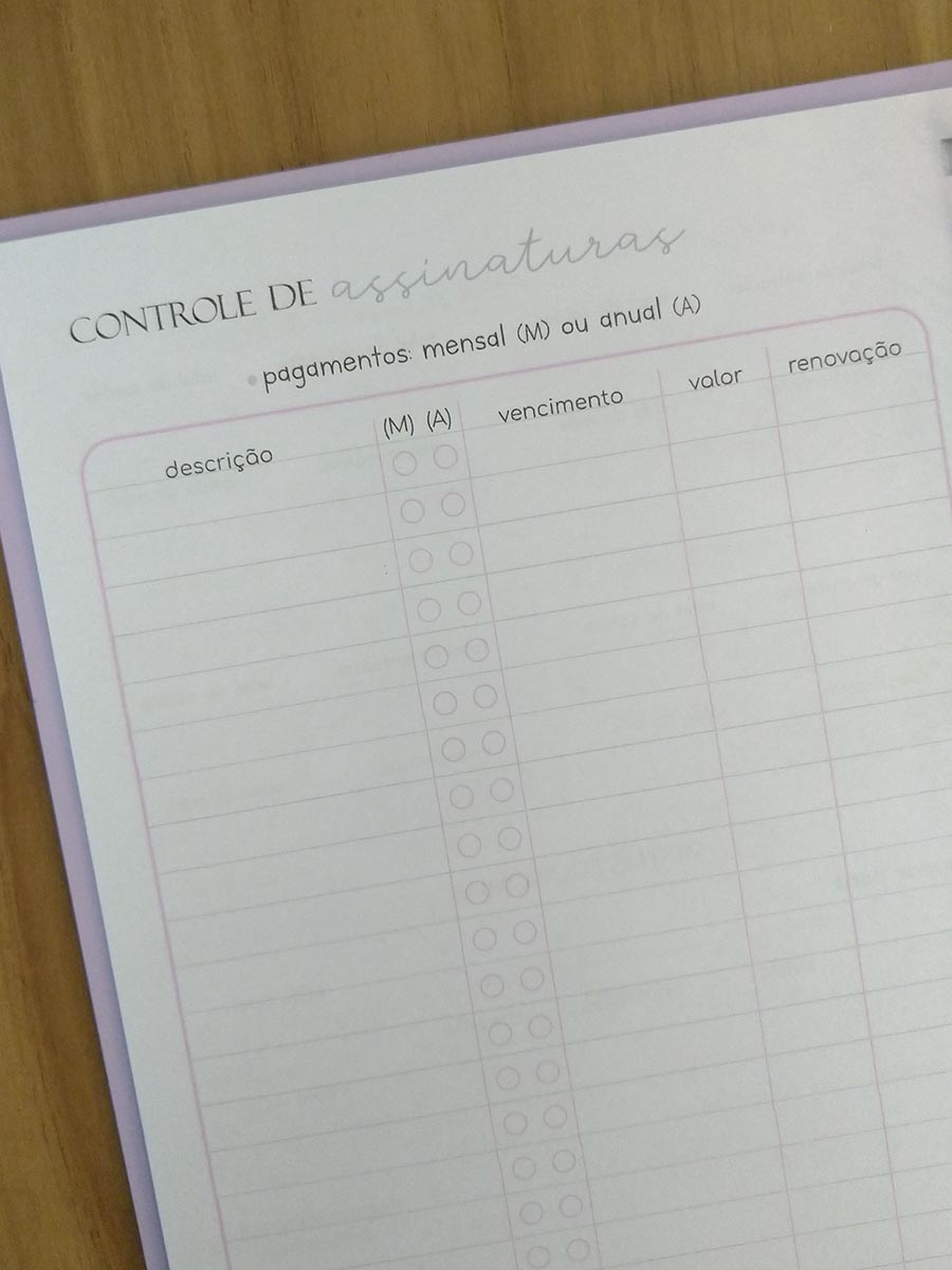 Planner financeiro permanente colorido ou neutro personalizado - Imagem 14