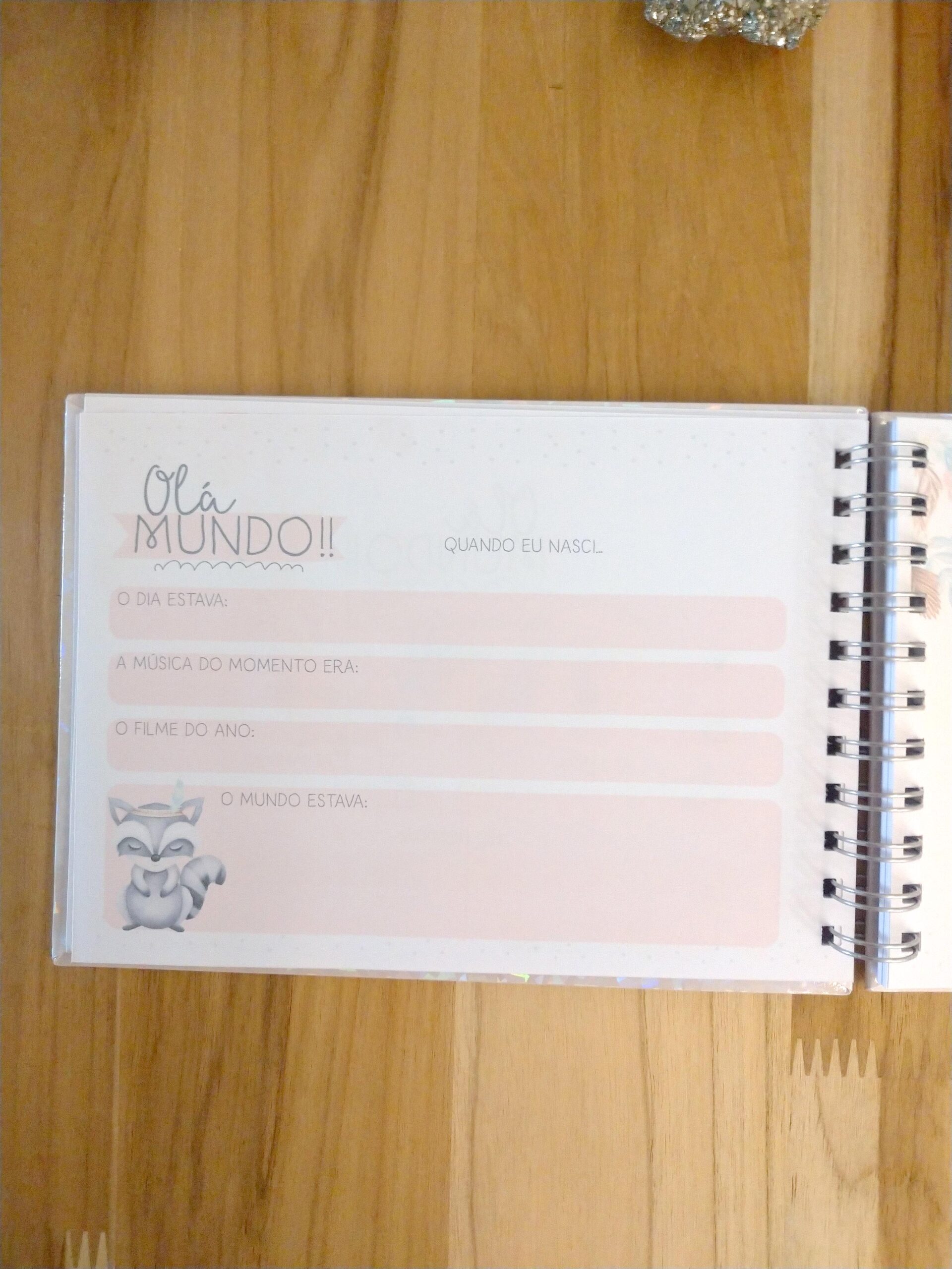 Livro do bebê menina personalizado - Imagem 8