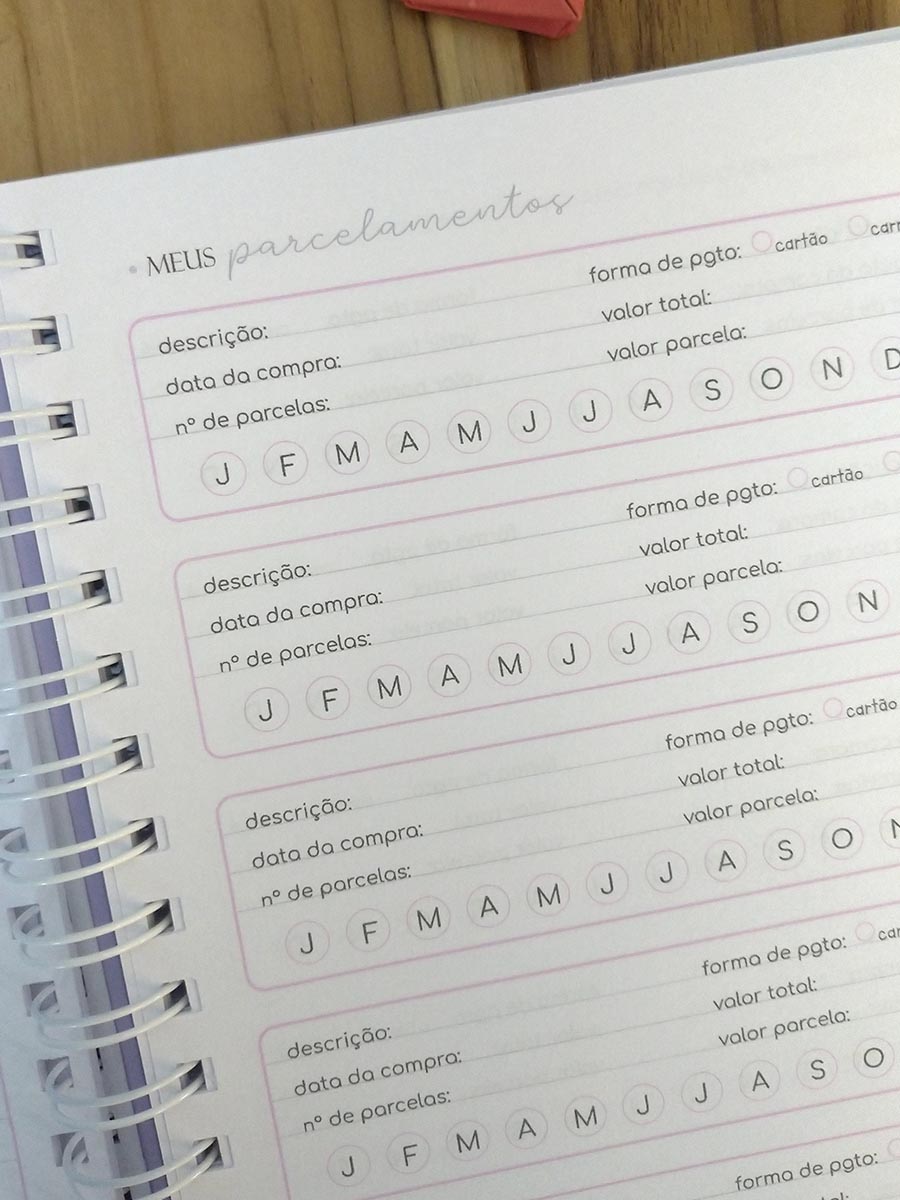 Planner financeiro permanente colorido ou neutro personalizado - Imagem 15