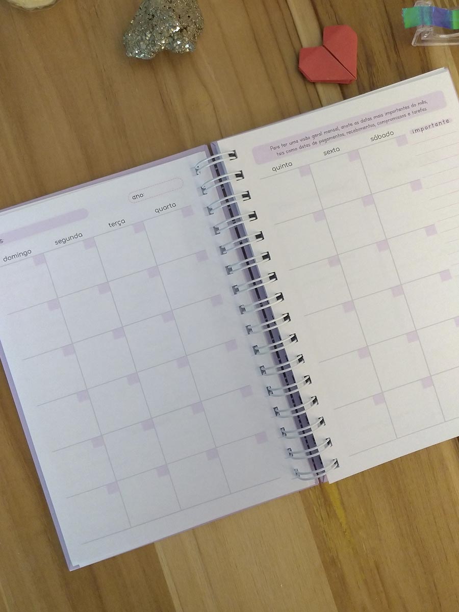 Planner financeiro permanente colorido ou neutro personalizado - Imagem 17