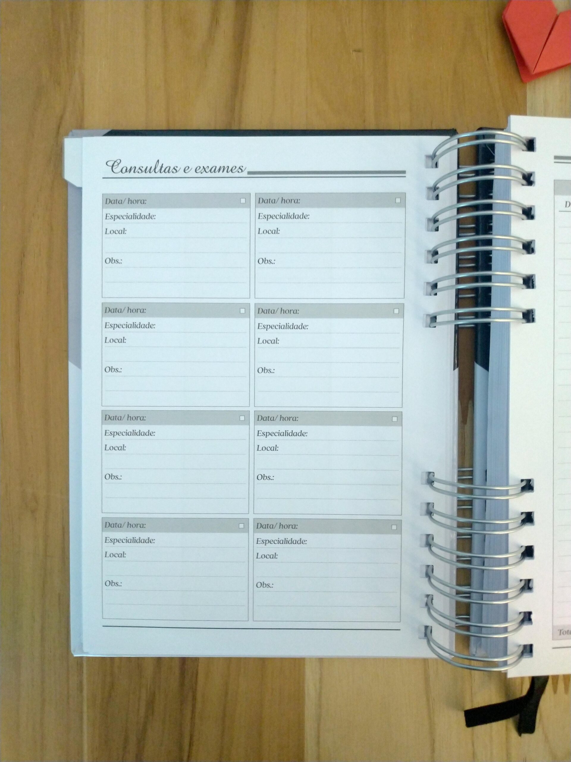 Planner neutro masculino não datado personalizado - Imagem 10