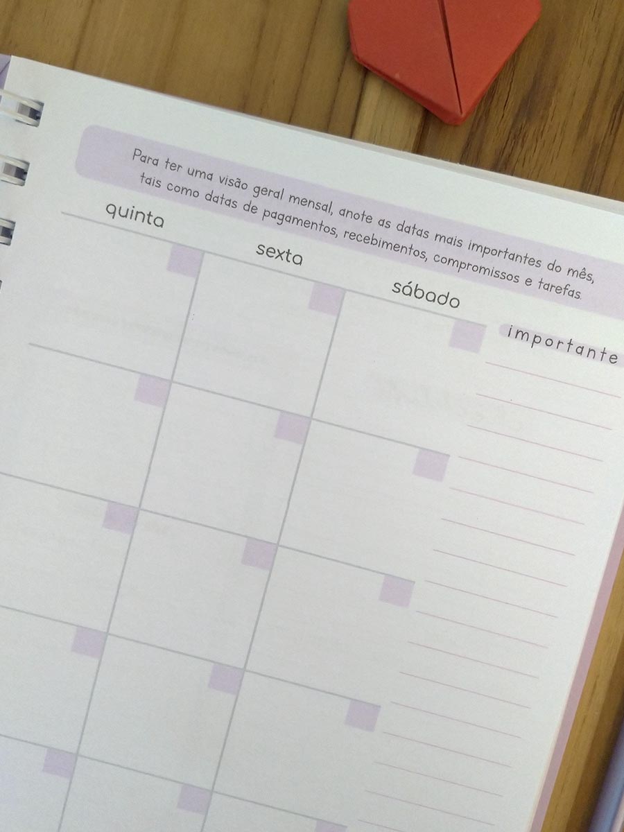 Planner financeiro permanente colorido ou neutro personalizado - Imagem 18