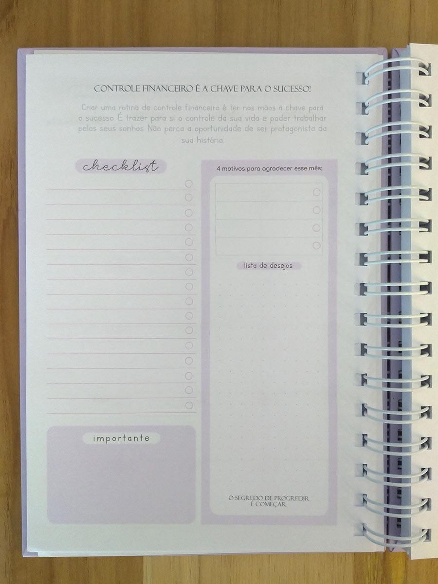 Planner financeiro permanente colorido ou neutro personalizado - Imagem 19