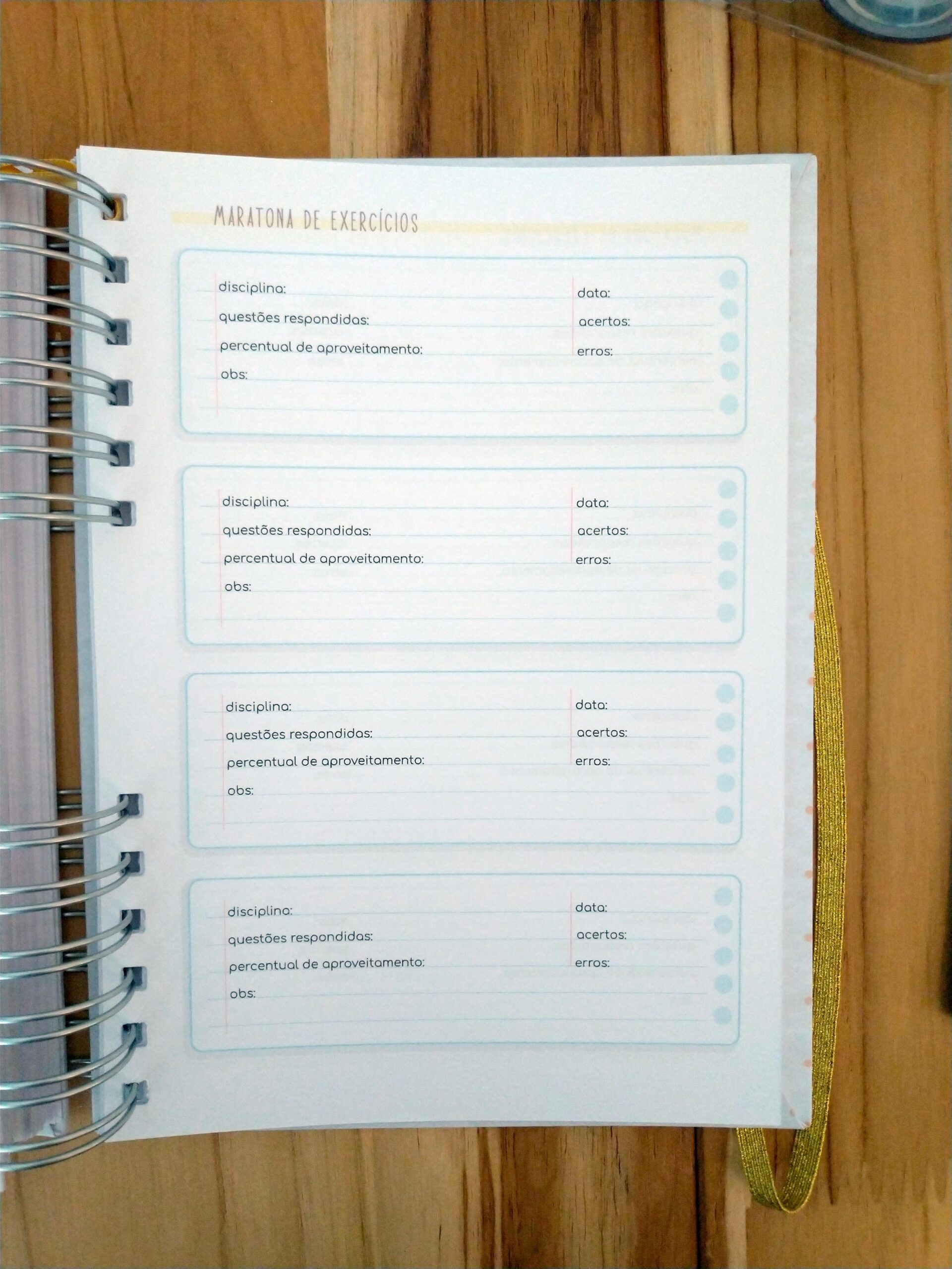 Pronta Entrega - Planner de estudos permanente - Imagem 19