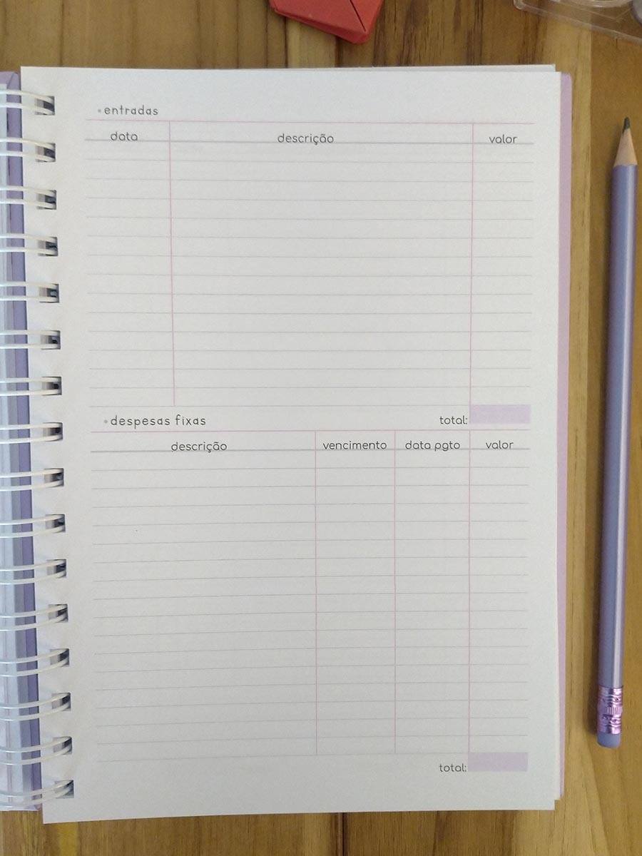 Planner financeiro permanente colorido ou neutro personalizado - Imagem 21