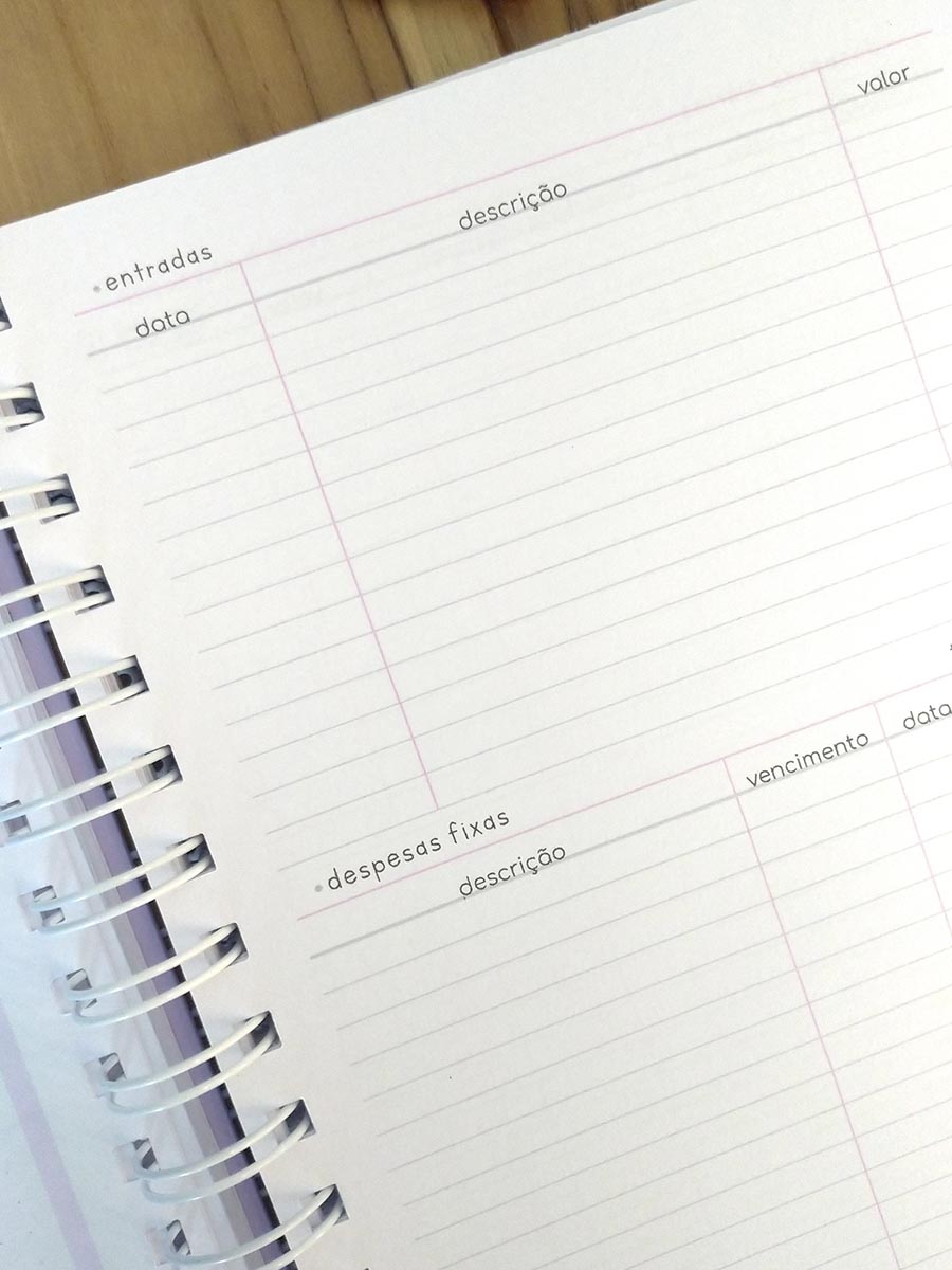 Planner financeiro permanente colorido ou neutro personalizado - Imagem 22