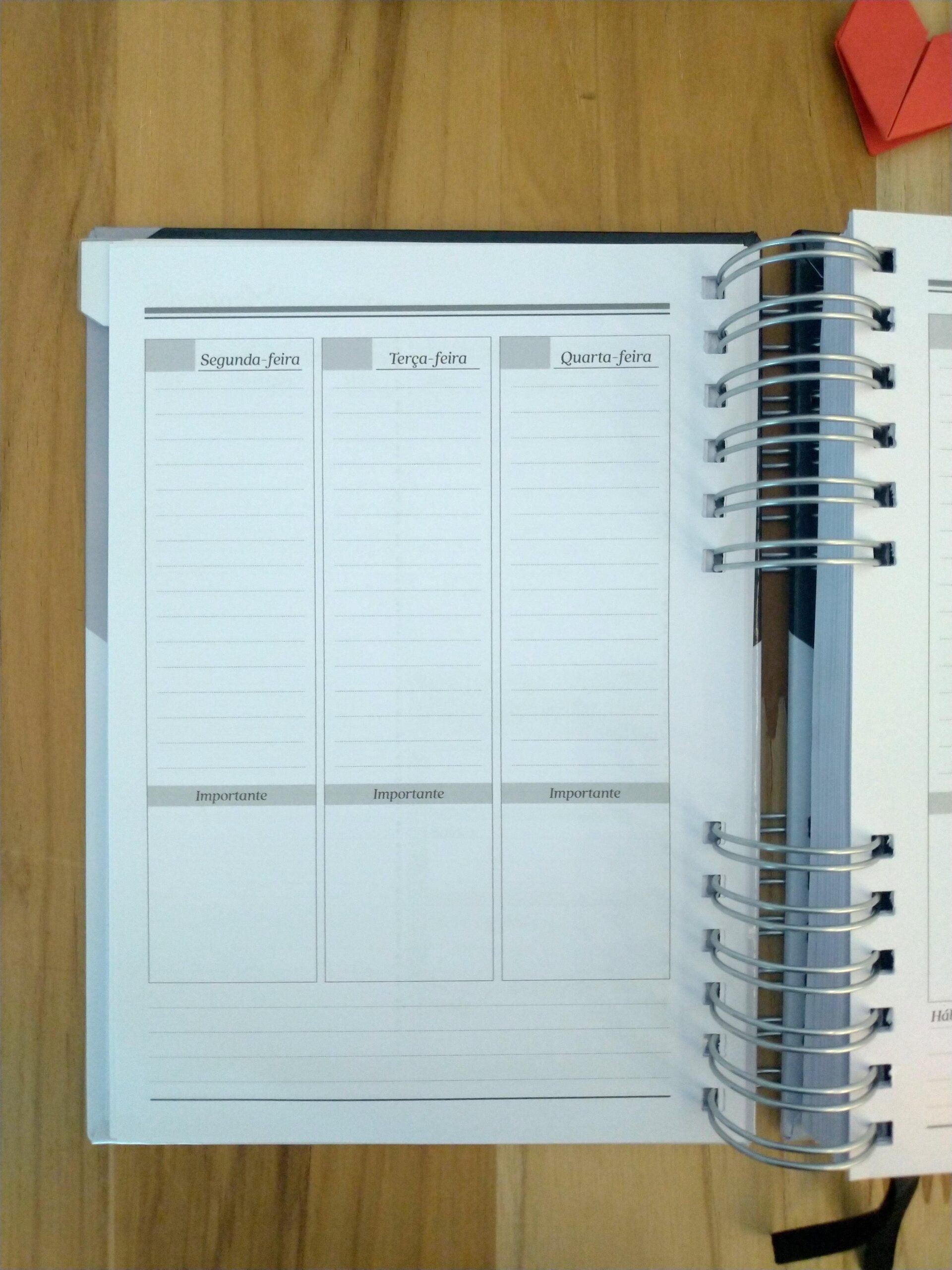 Planner neutro masculino não datado personalizado - Imagem 11