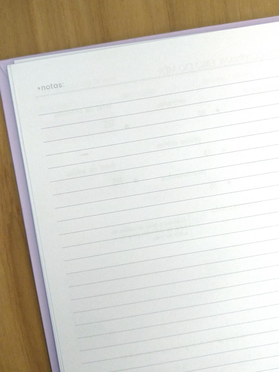 Planner financeiro permanente colorido ou neutro personalizado - Imagem 25