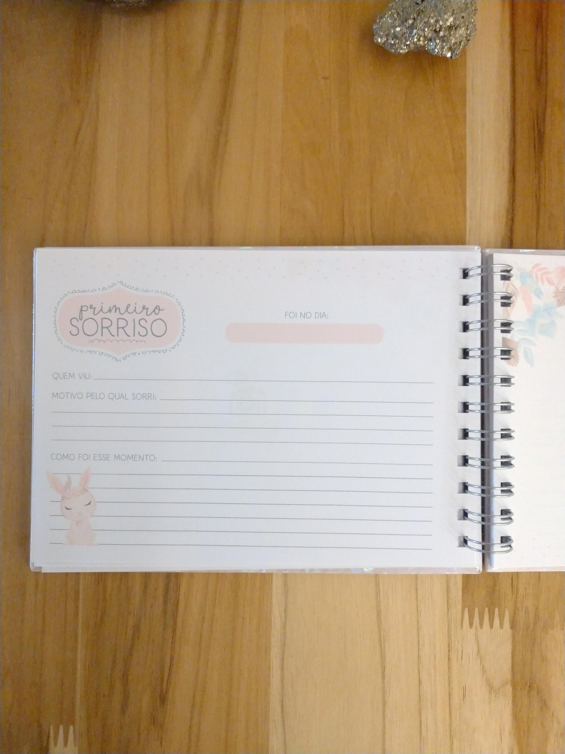 Livro do bebê menina personalizado - Imagem 15