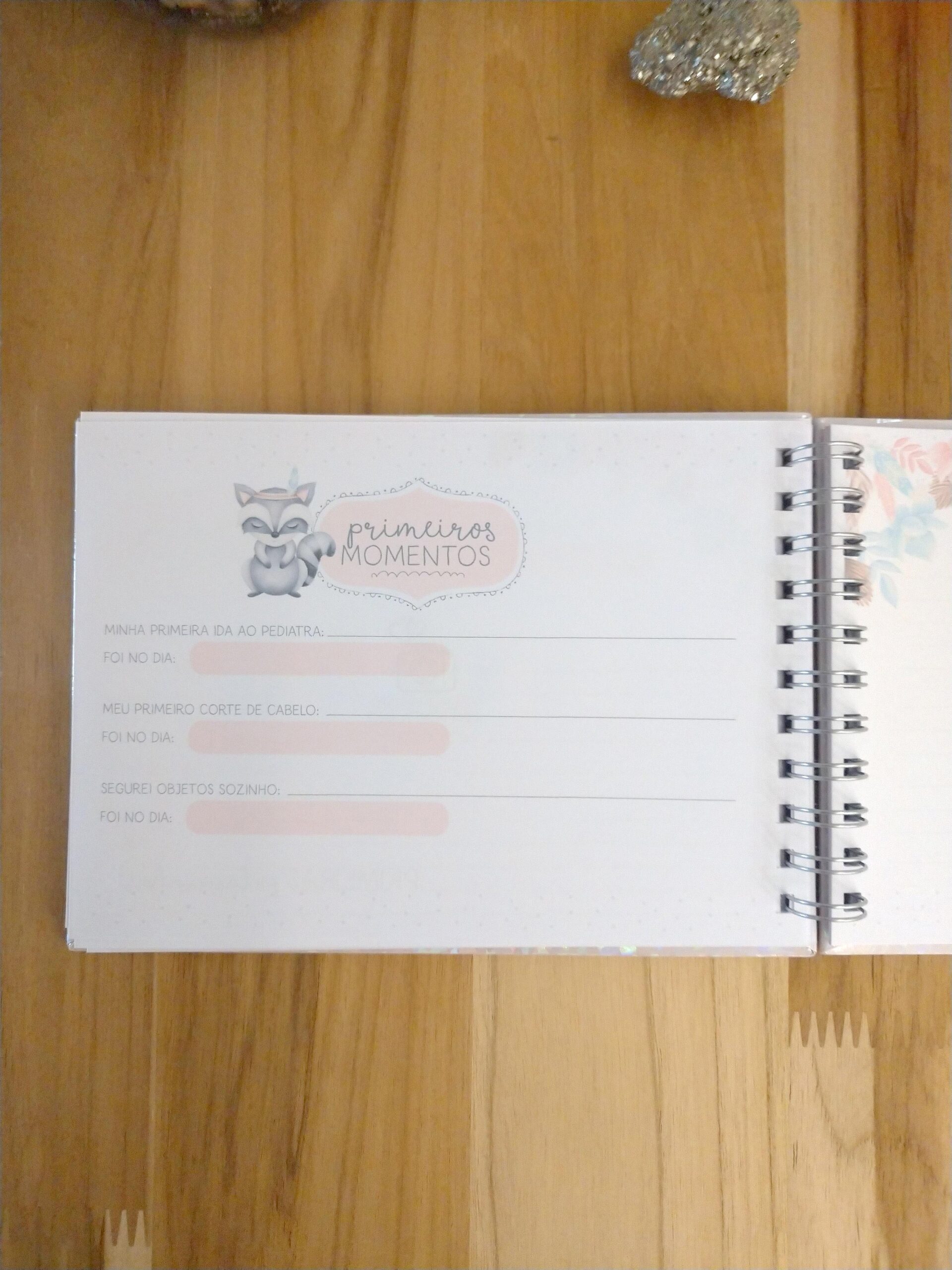 Livro do bebê menina personalizado - Imagem 18