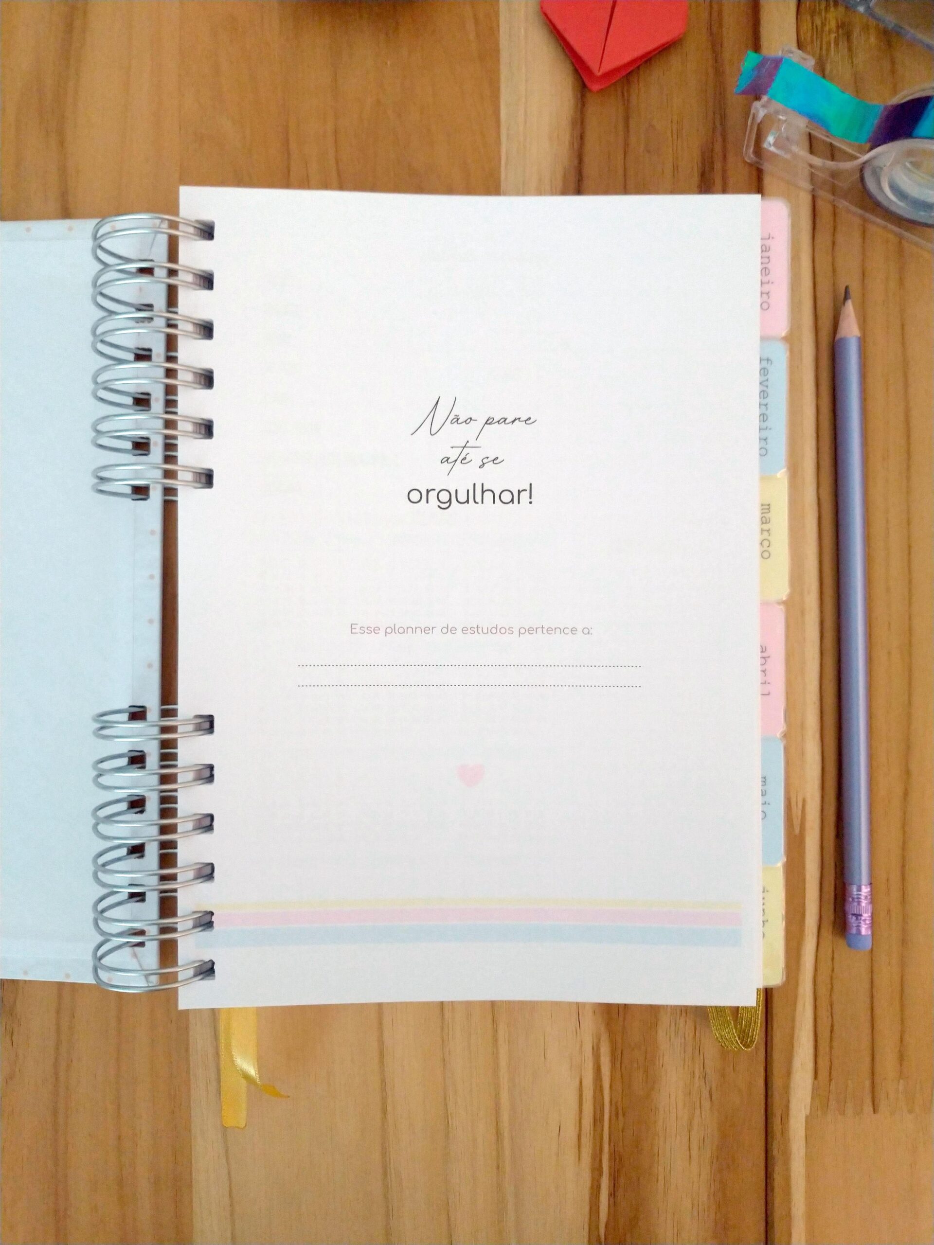 Pronta Entrega - Planner de estudos permanente - Imagem 2