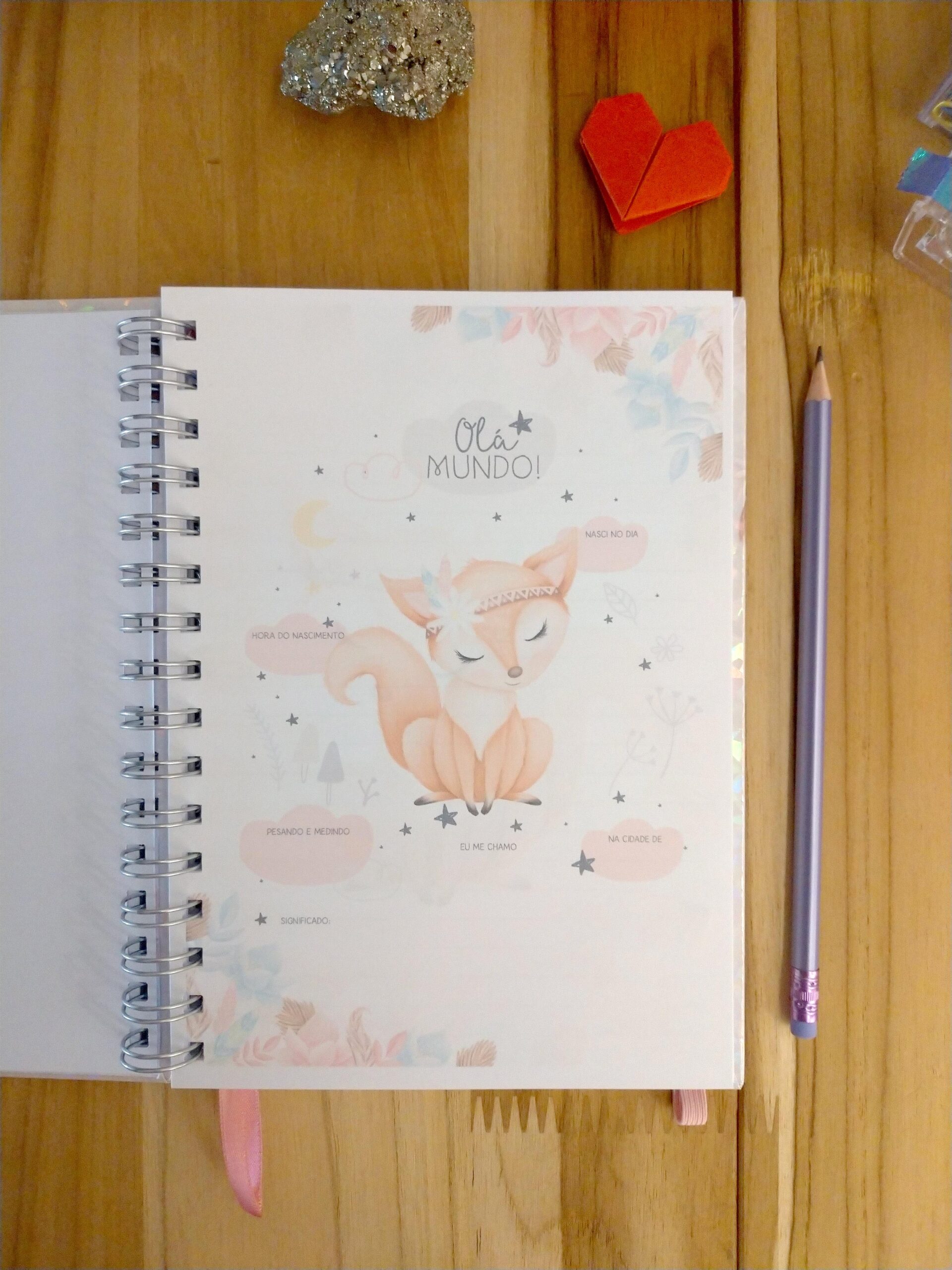 Caderneta de saúde do bebê - minha menina personalizado - Imagem 10