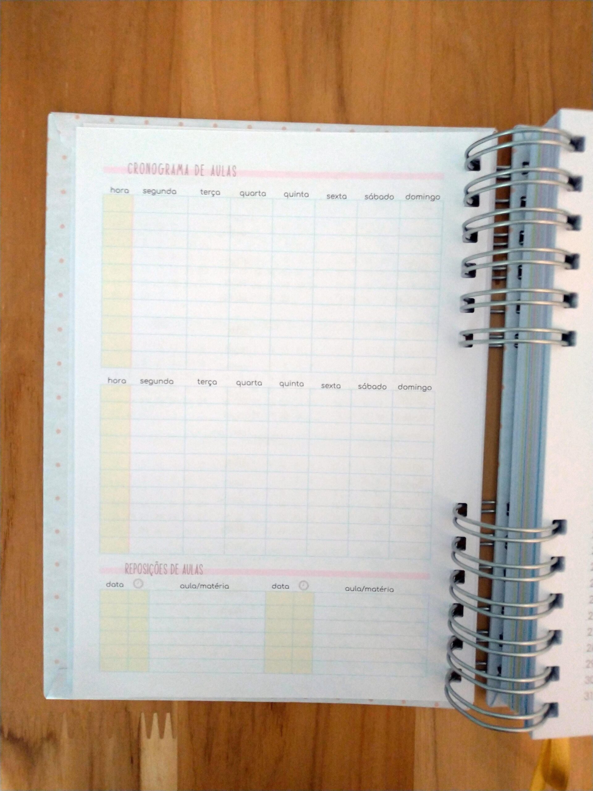 Pronta Entrega - Planner de estudos permanente - Imagem 4