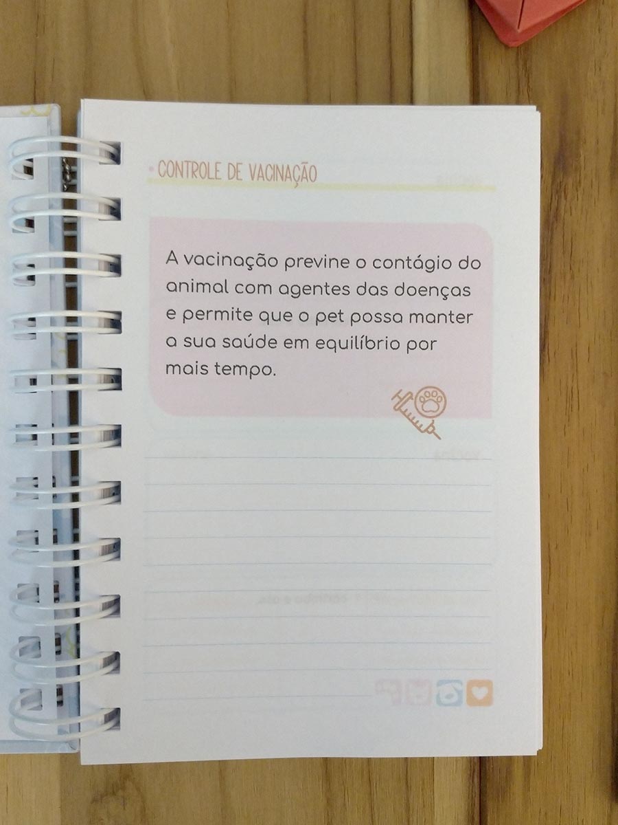 Pronta Entrega - mini caderno de vacinas pet - Imagem 7