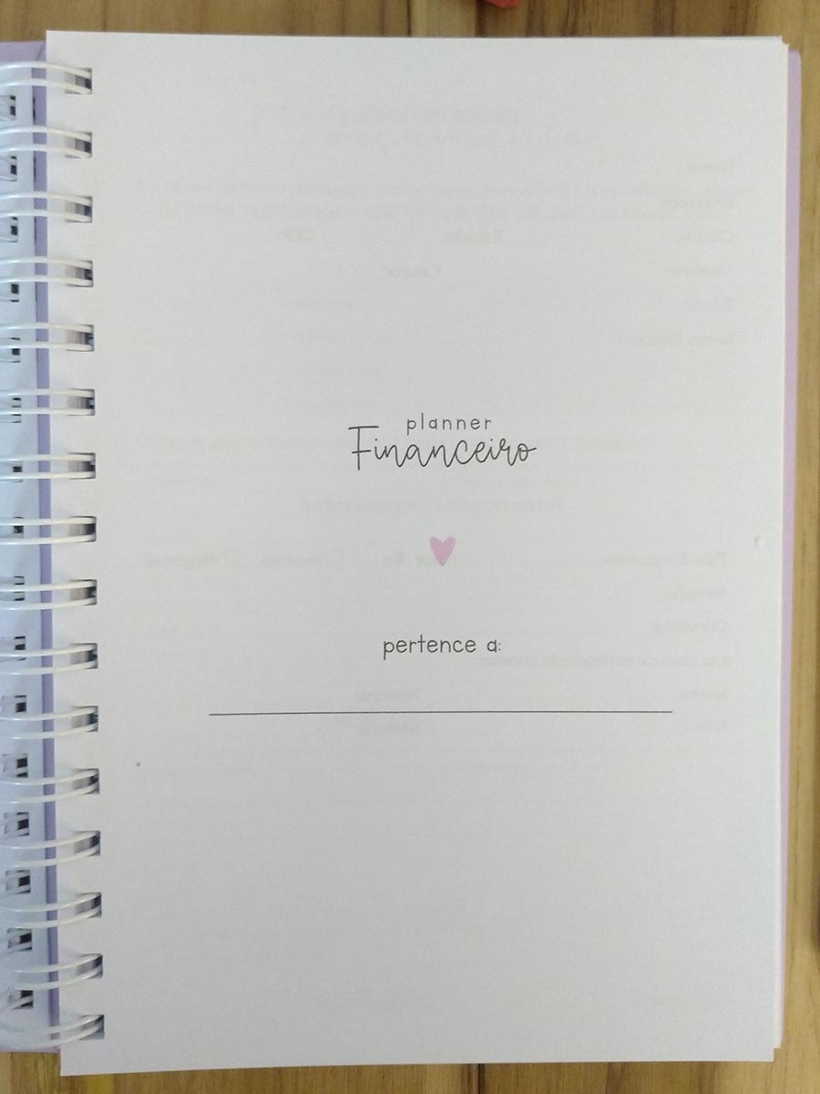 Planner financeiro permanente colorido ou neutro personalizado - Imagem 7