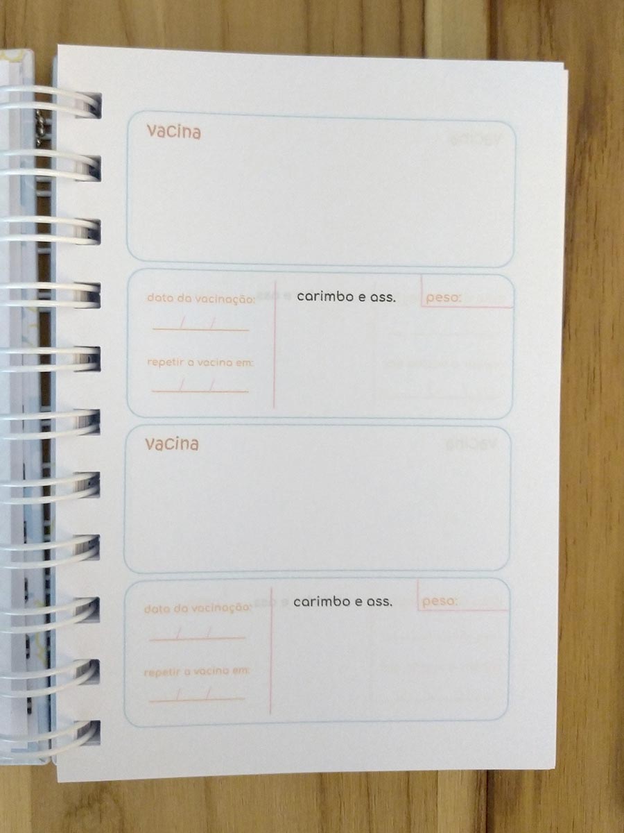 Pronta Entrega - mini caderno de vacinas pet - Imagem 8