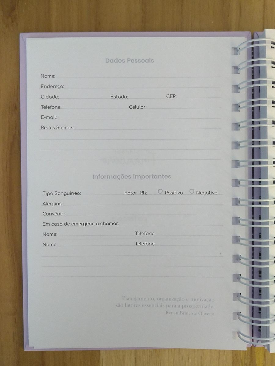 Planner financeiro permanente colorido ou neutro personalizado - Imagem 8