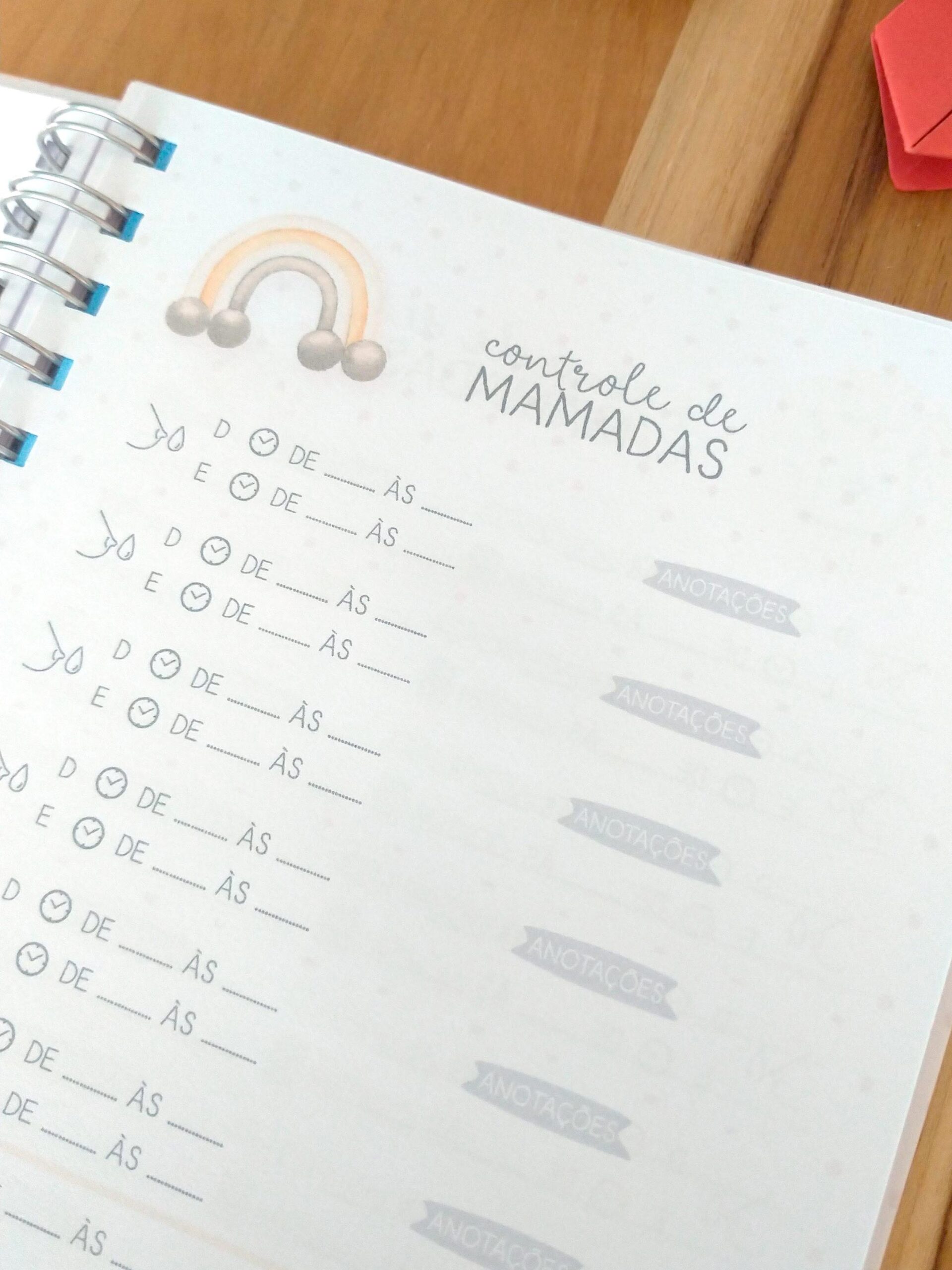 Caderneta de saúde do bebê - meu menino personalizado - Imagem 9