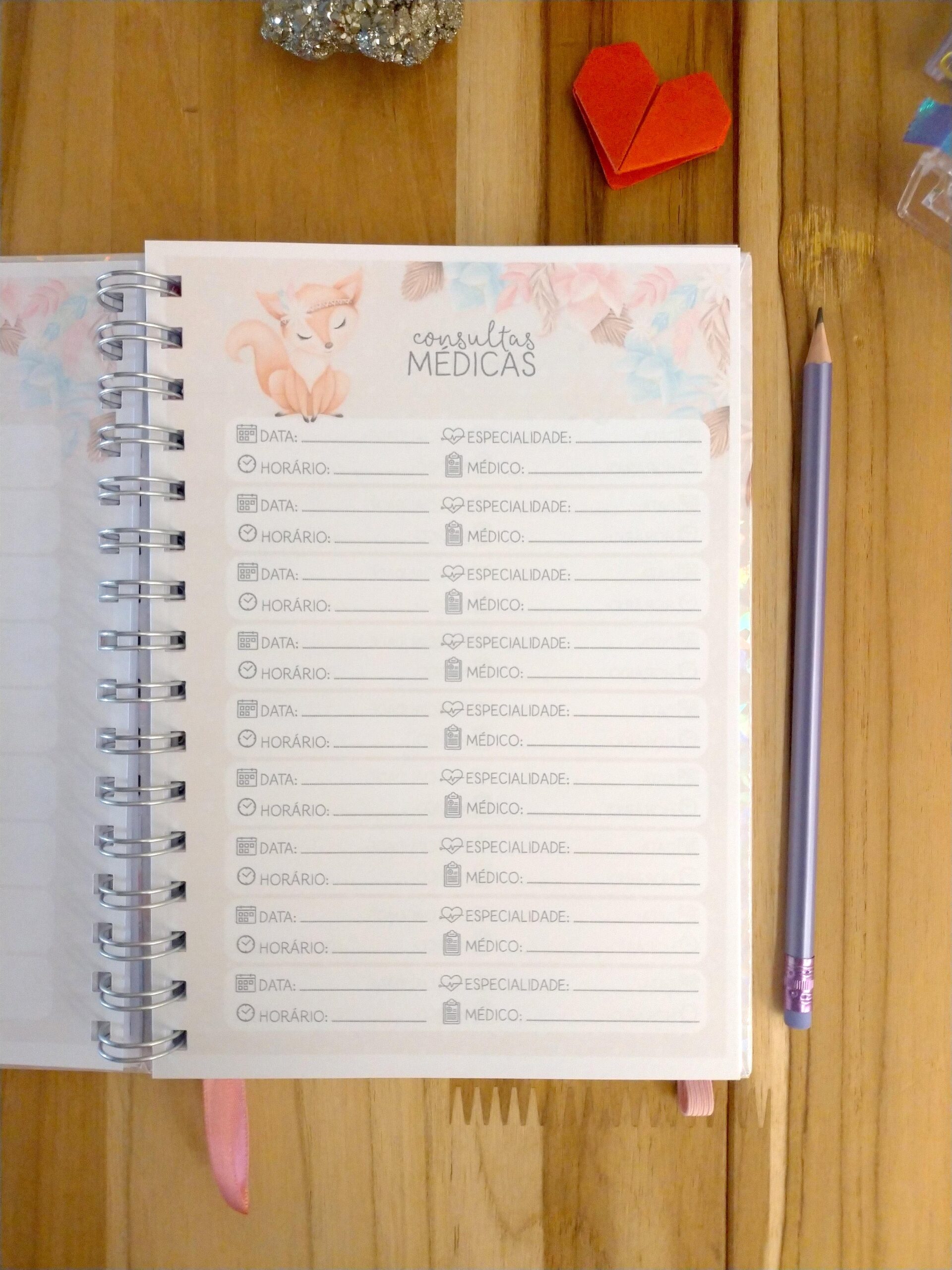 Caderneta de saúde do bebê - minha menina personalizado - Imagem 7