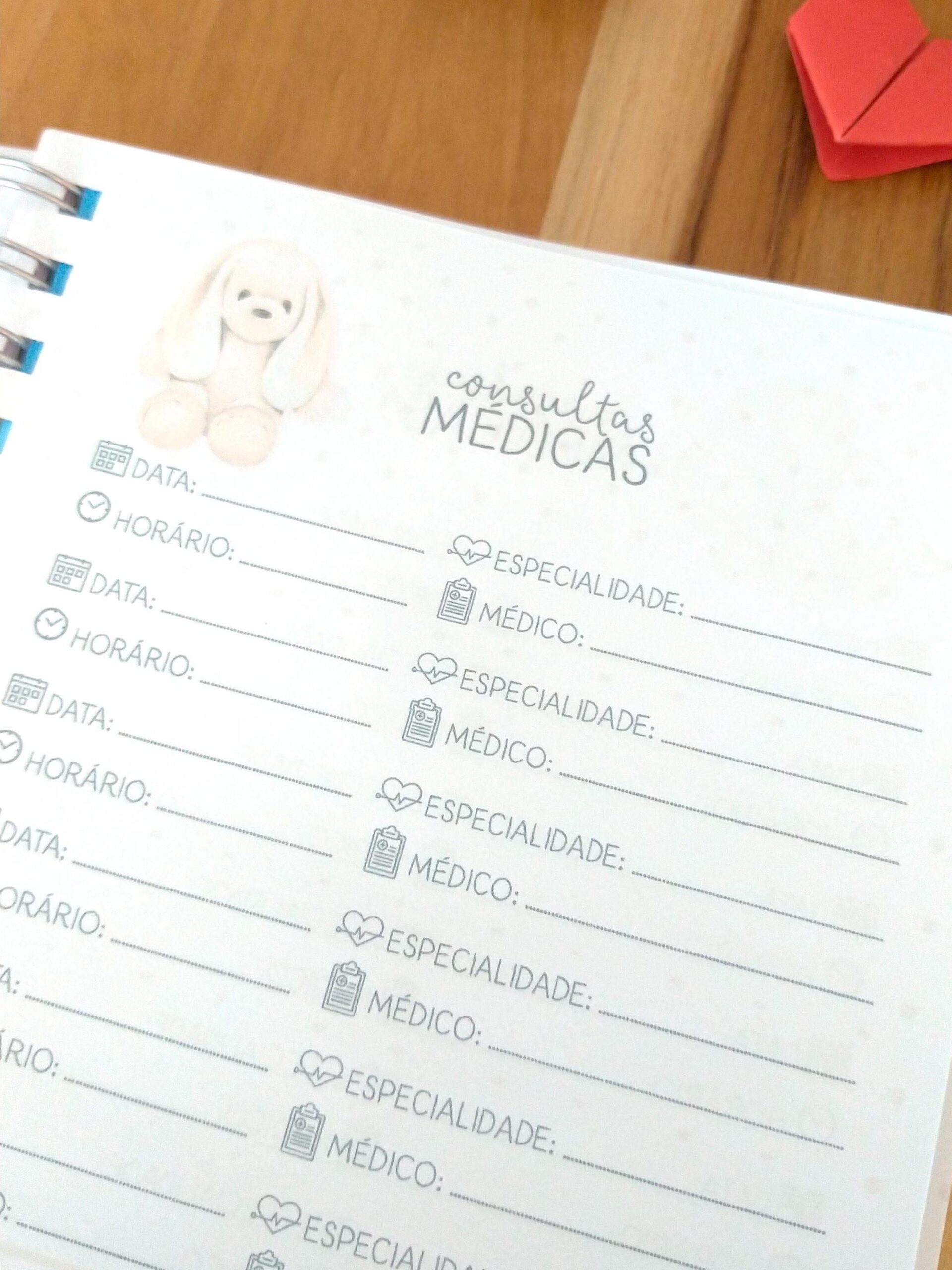 Caderneta de saúde do bebê - meu menino personalizado - Imagem 8