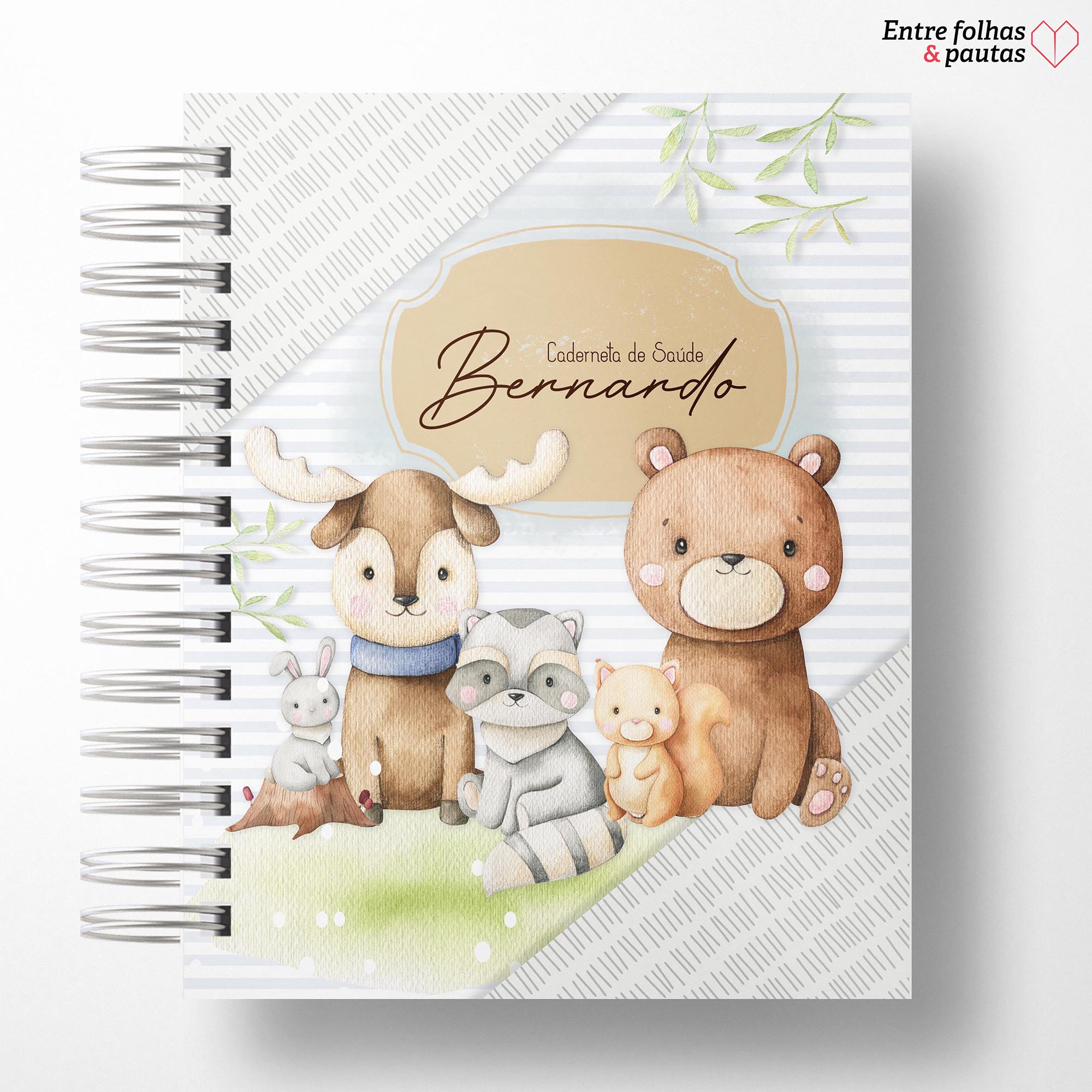 Caderneta de saúde do bebê - meu menino personalizado - Imagem 22