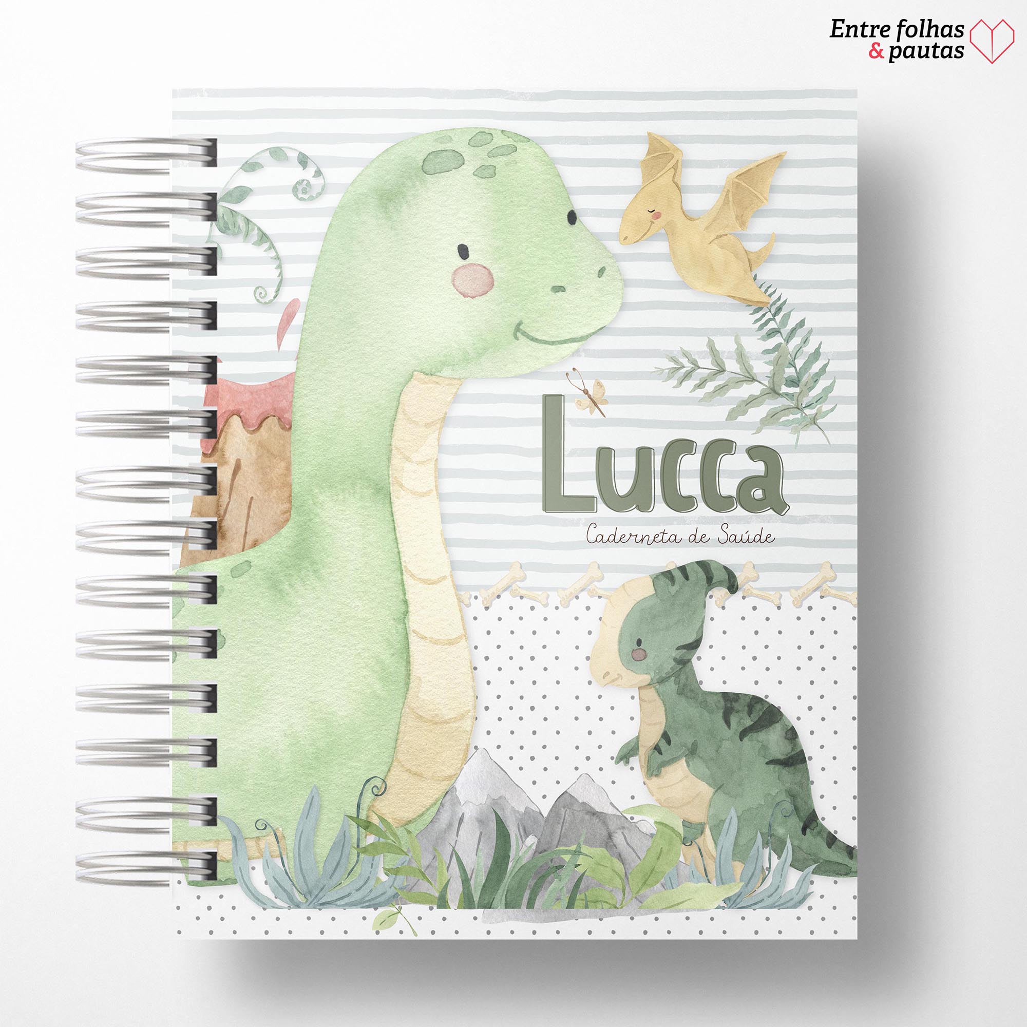 Caderneta de saúde do bebê - meu menino personalizado - Imagem 19