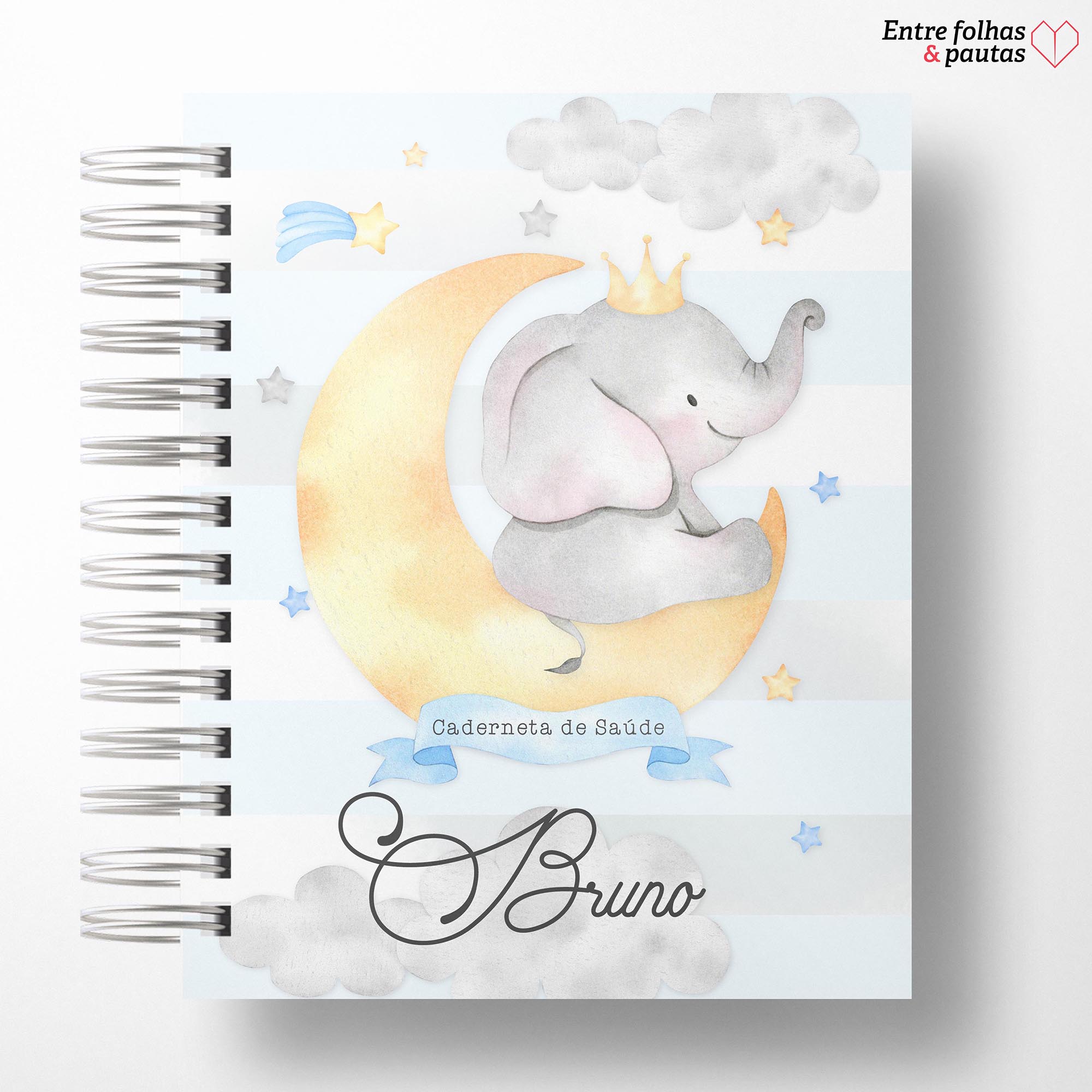 Caderneta de saúde do bebê - meu menino personalizado - Imagem 20
