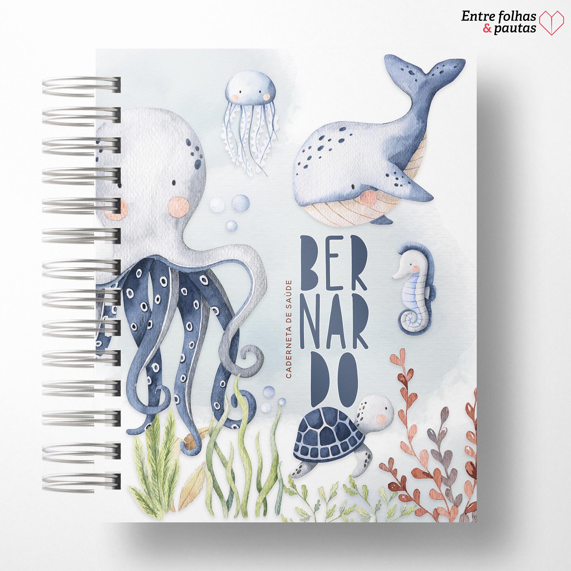 Caderneta de saúde do bebê - meu menino personalizado - Imagem 23