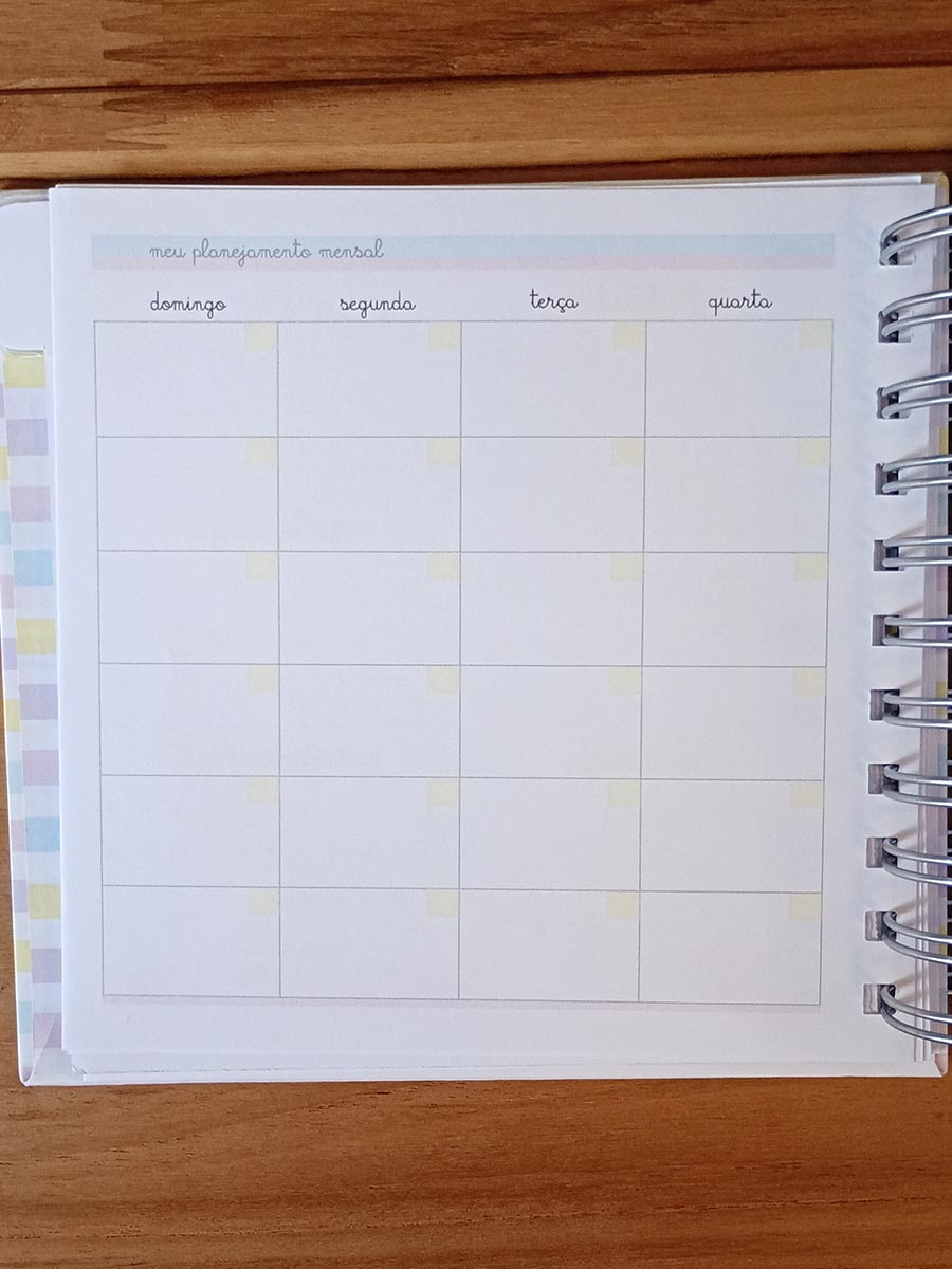 Pronta Entrega - Planner pessoal permanente quadrado - Imagem 9