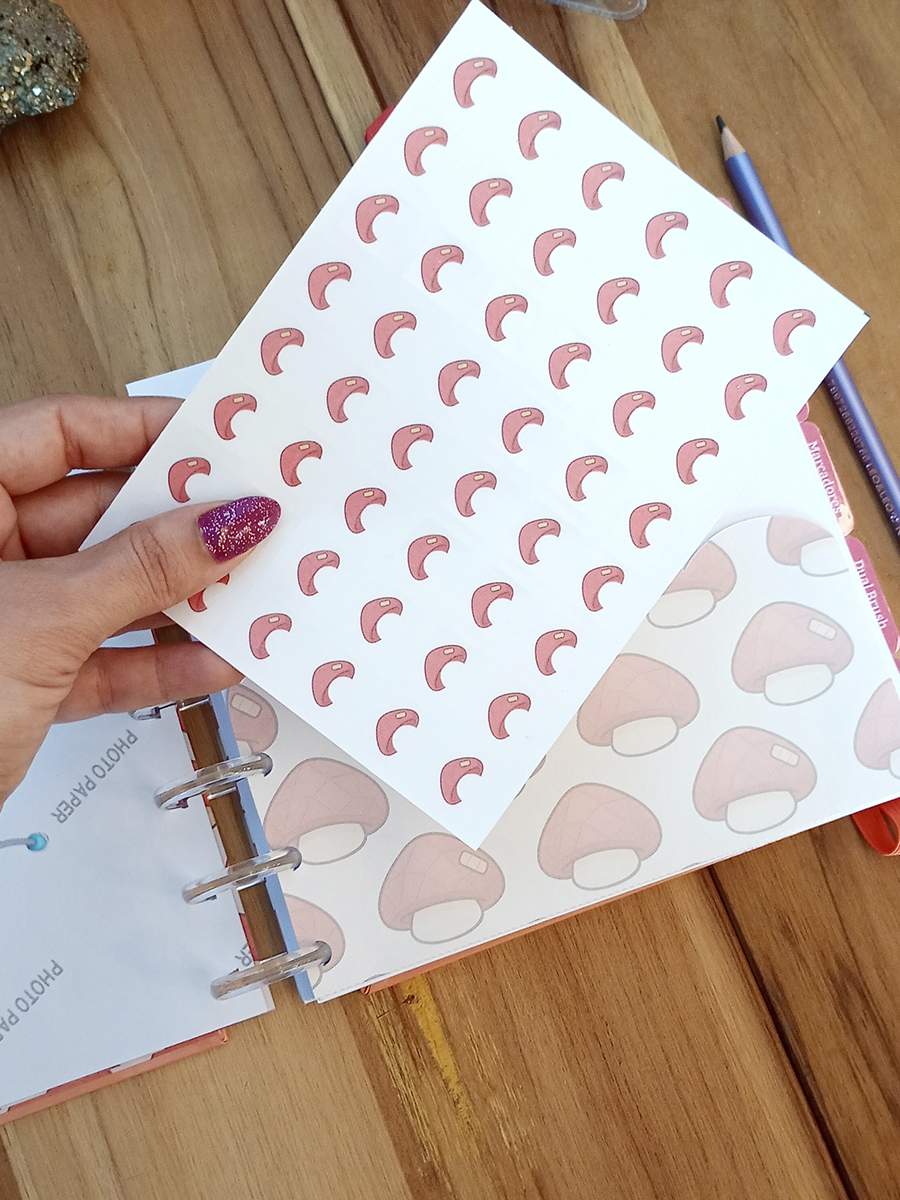 Pré Lançamento - Canetário Cogumi personalizado - Imagem 14